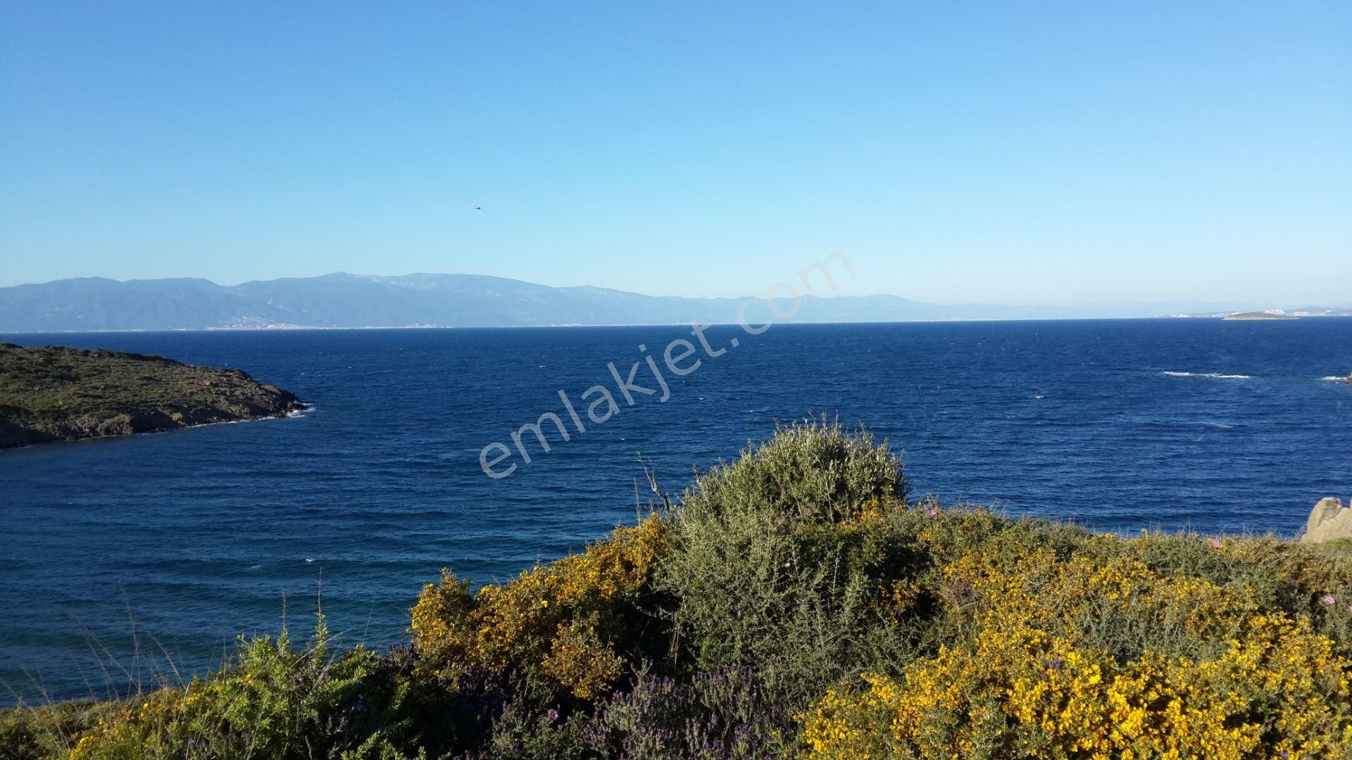 Ayvalık Cunda Da Satılık 100.000 Metre Kare Arsa.denize Sıfır - Görsel 7