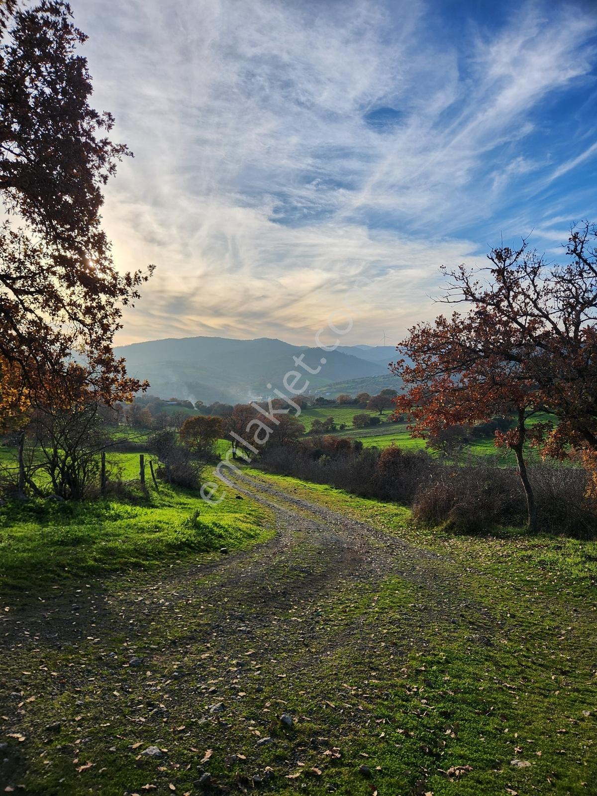 Çanakkale Çan 13.350 M2 Satılık Arazi - Görsel 13