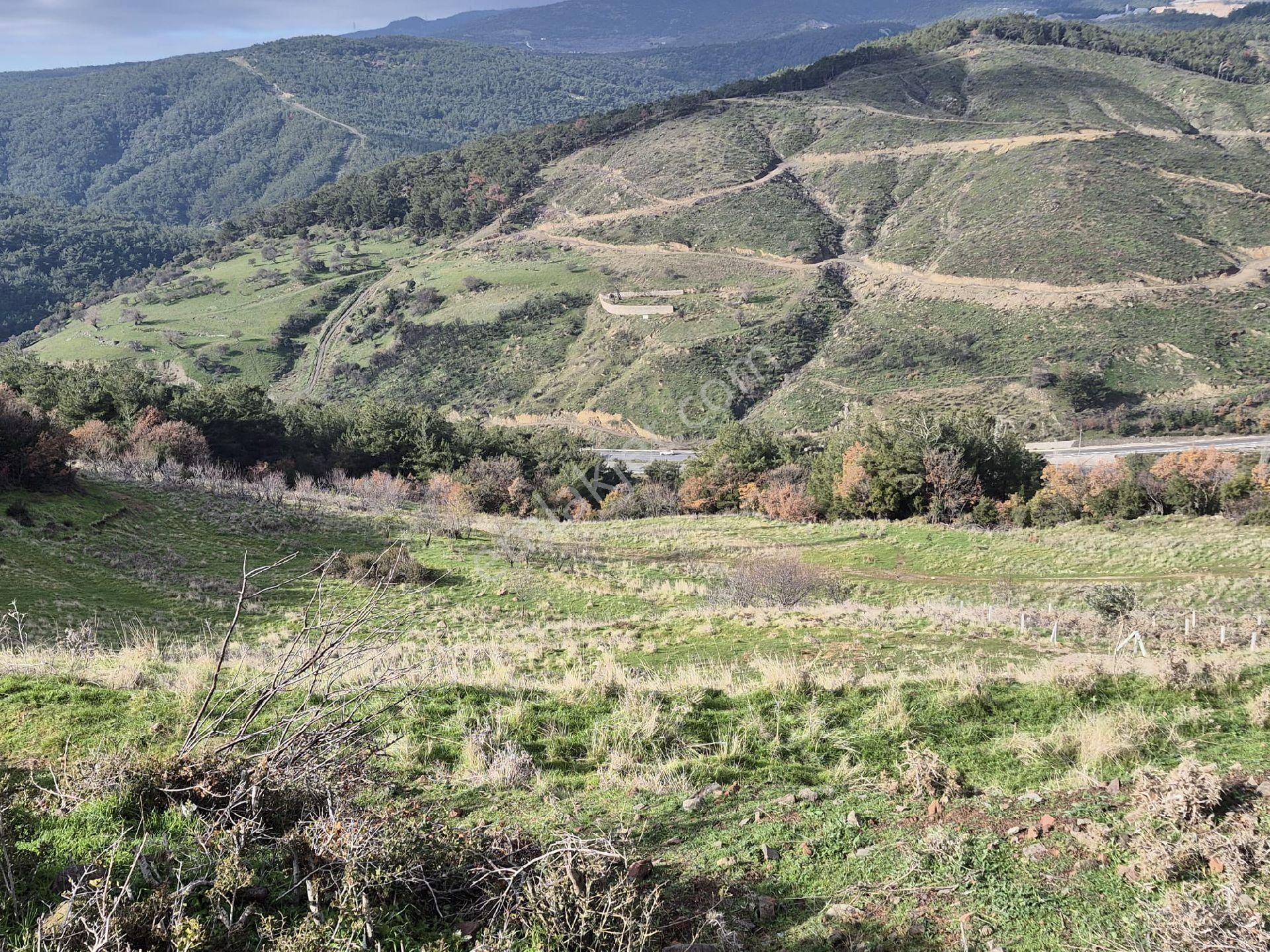 Bornova Beşyol 300m2 Satılık Hisseli Tarla ! - Görsel 7