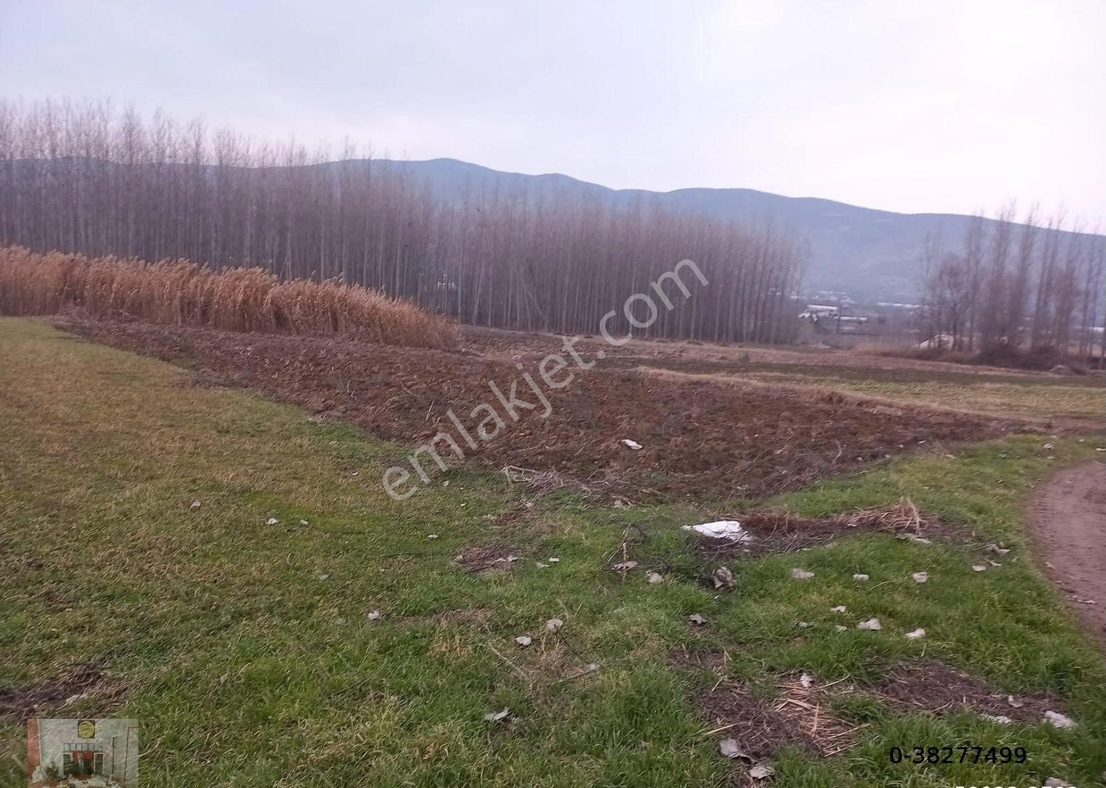 Gümenekte Mesire Alanına Yakın Konumda Satılık 2 Adet Tarla - Görsel 3