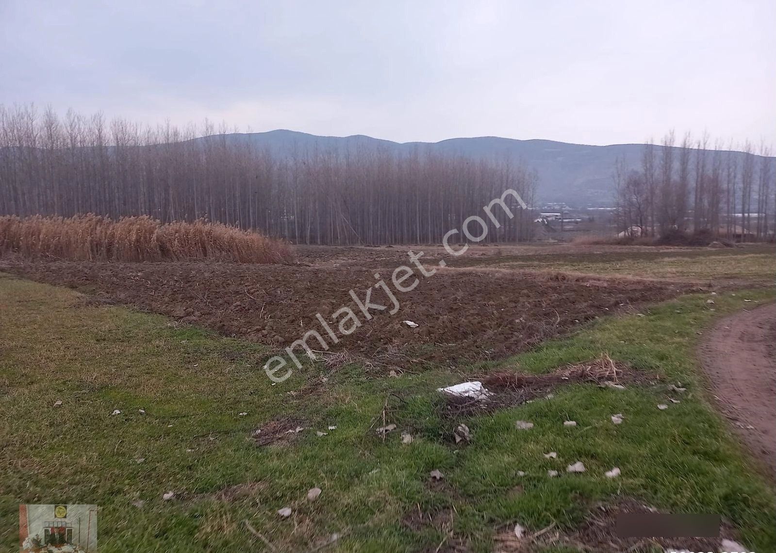 Gümenekte Mesire Alanına Yakın Konumda Satılık 2 Adet Tarla - Görsel 9