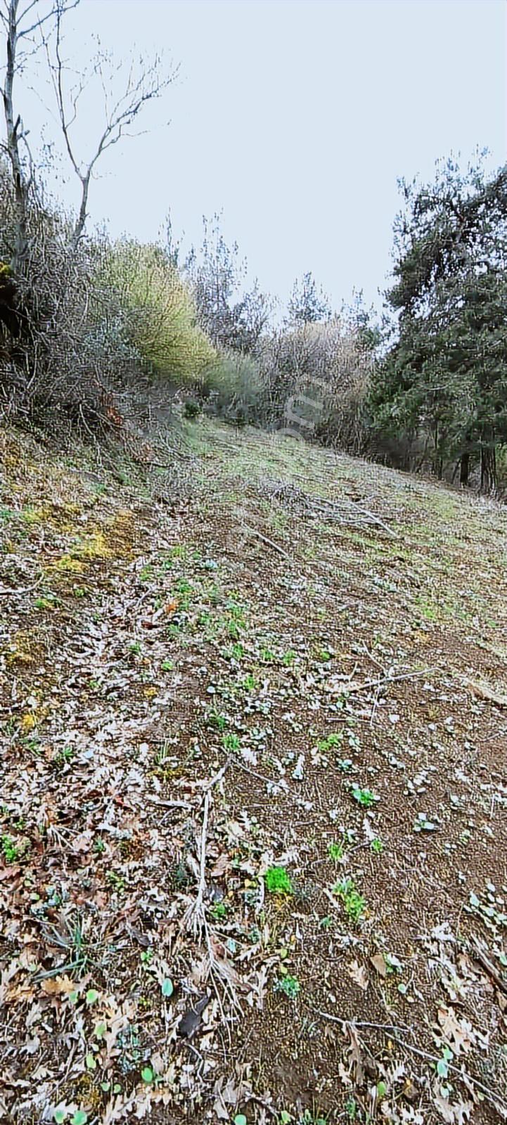Çanakkale Biga Ramazanlar Köyü Satılık Arazi - Görsel 13