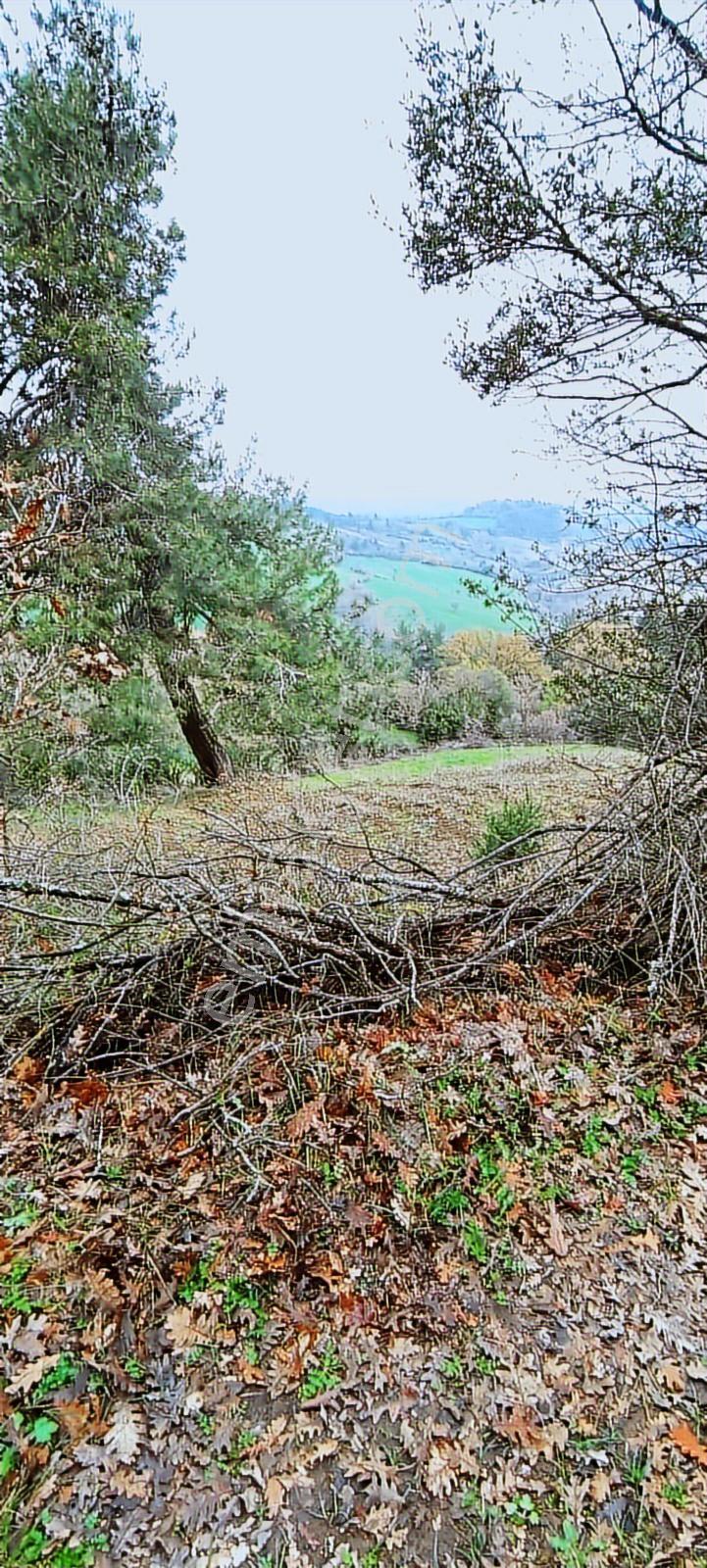 Çanakkale Biga Ramazanlar Köyü Satılık Arazi - Görsel 8