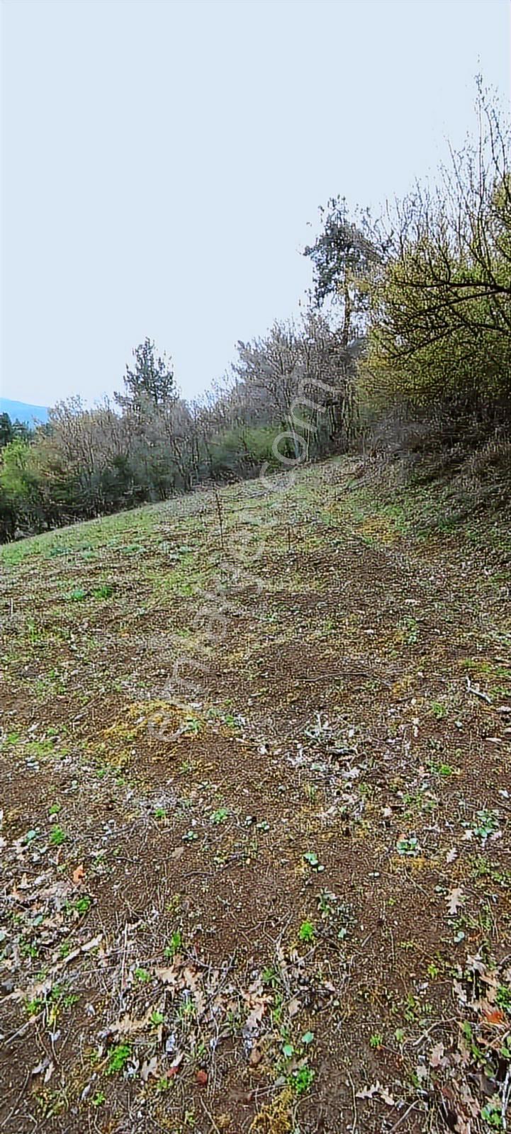 Çanakkale Biga Ramazanlar Köyü Satılık Arazi - Görsel 11