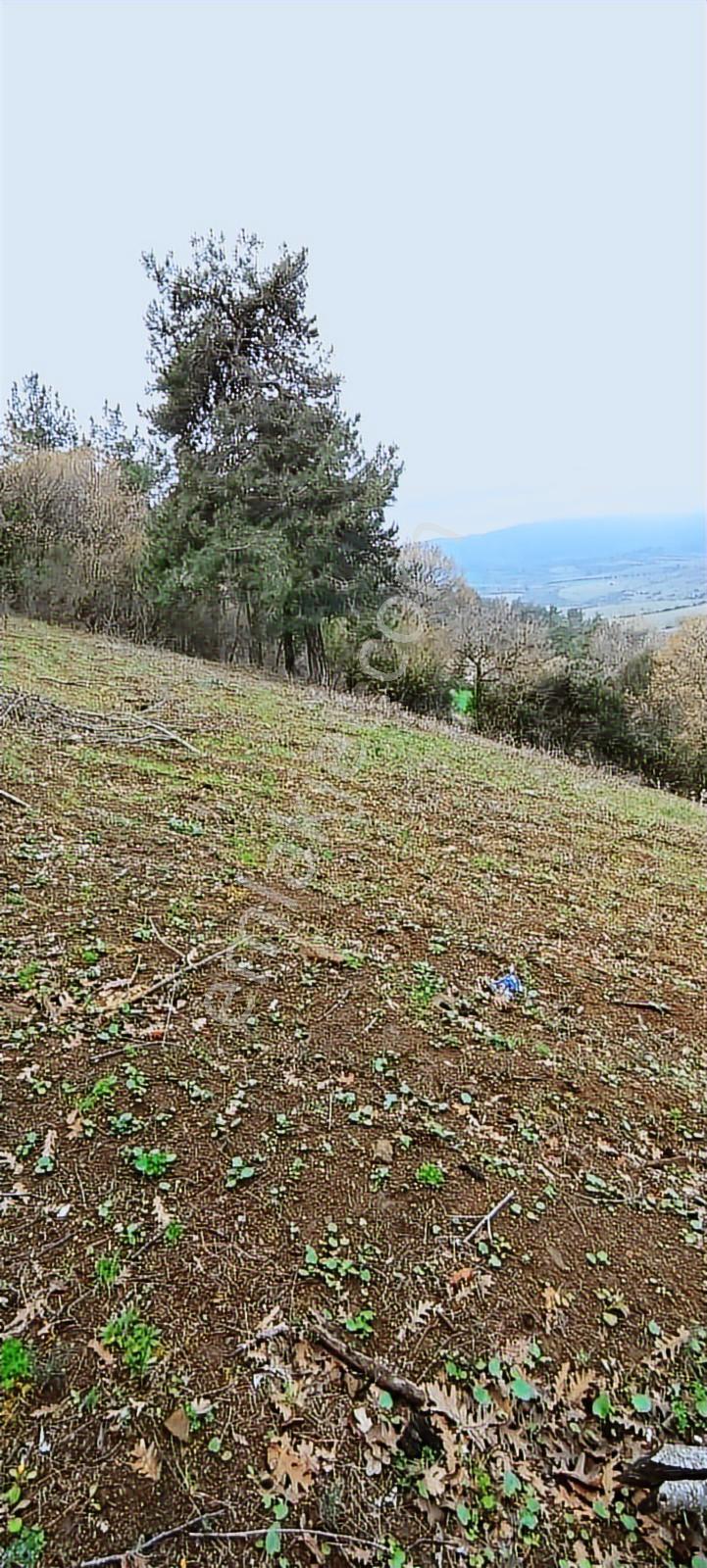 Çanakkale Biga Ramazanlar Köyü Satılık Arazi