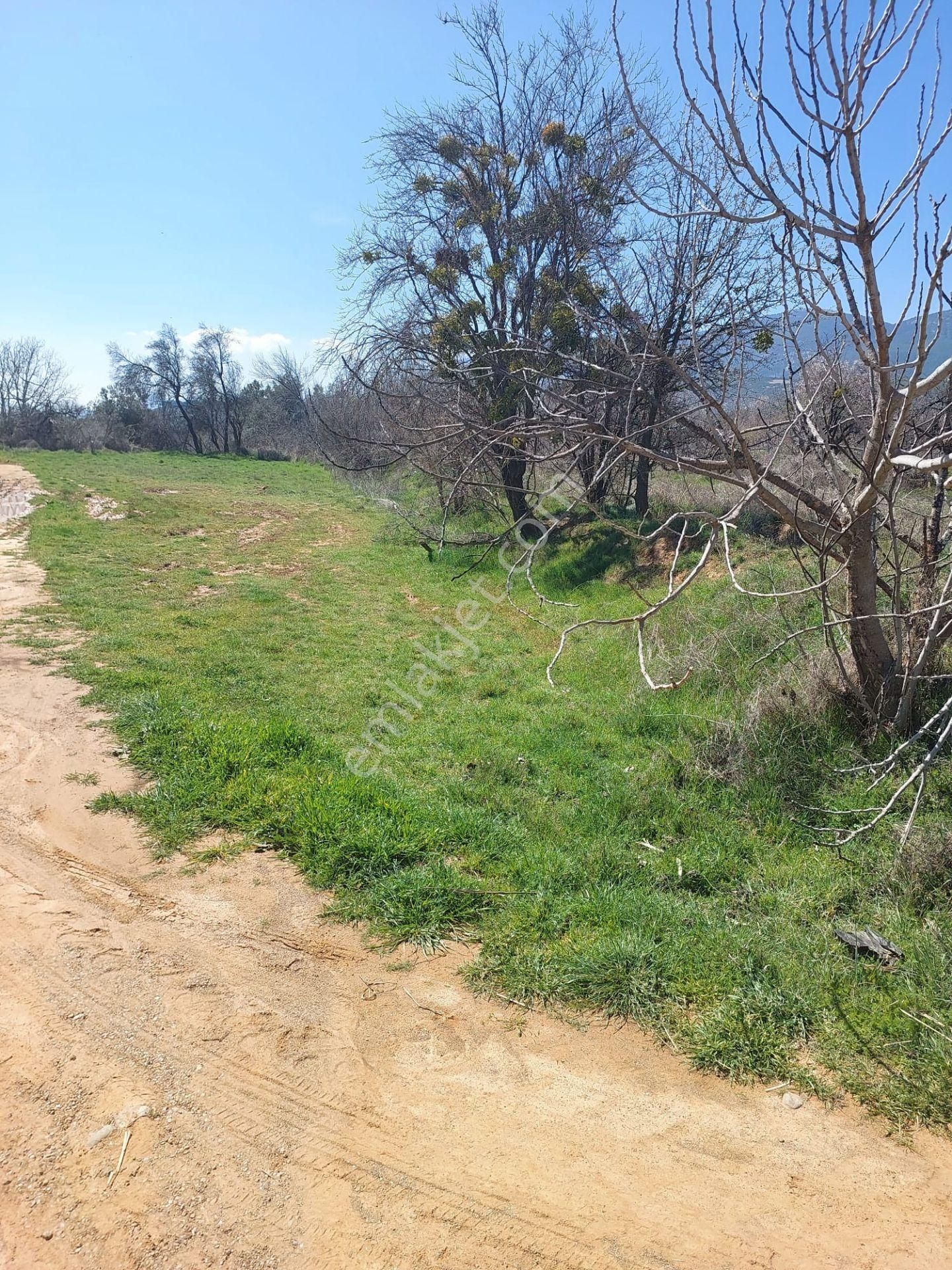 Antalya Muratpaşa Sedir Mah. 3+1 Lüks Kiralık Oziemlak Tan - Görsel 14