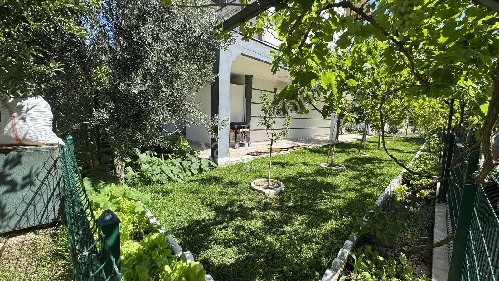 Turpa Arxes'ten Kabakum Bankacılarda Masrafsız Yazlık Satılıktır - Görsel 10