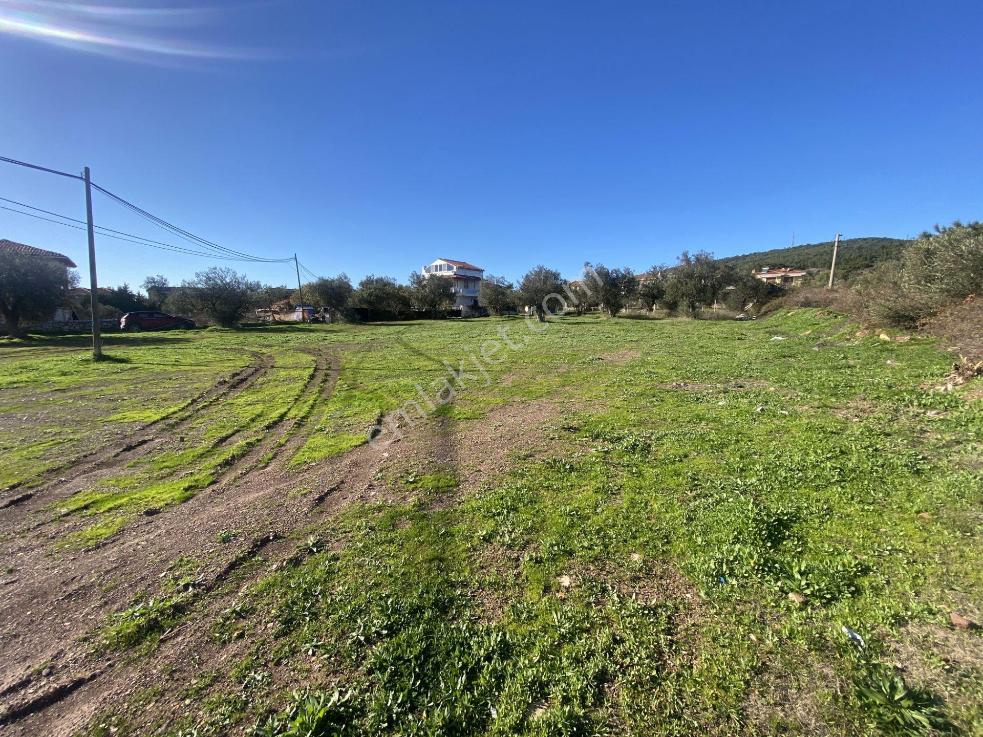 Ayvalık Cunda Da Satılık 3479 Metre Kare İmarlı Arsa - Görsel 12