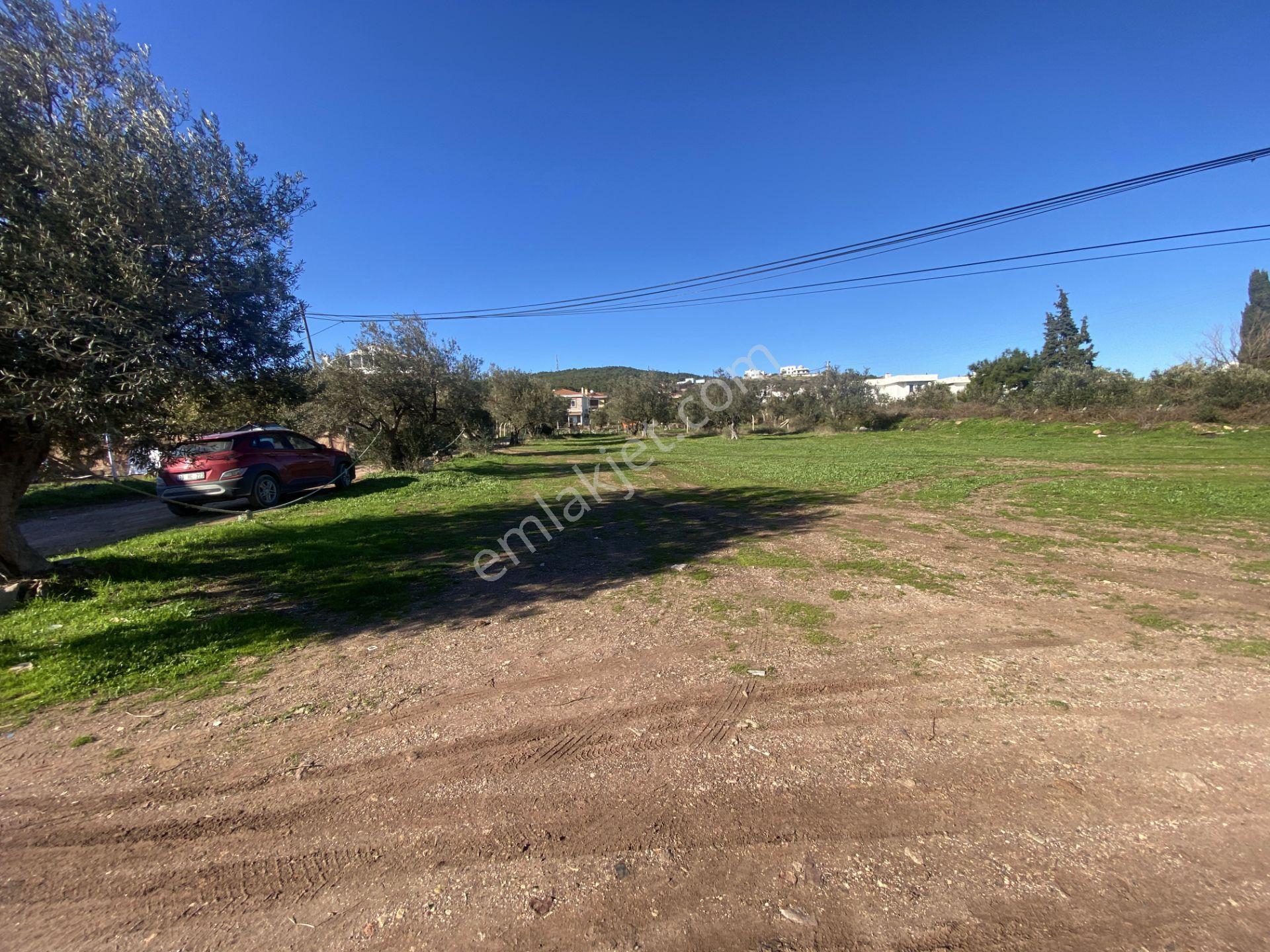 Ayvalık Cunda Da Satılık 3479 Metre Kare İmarlı Arsa - Görsel 10