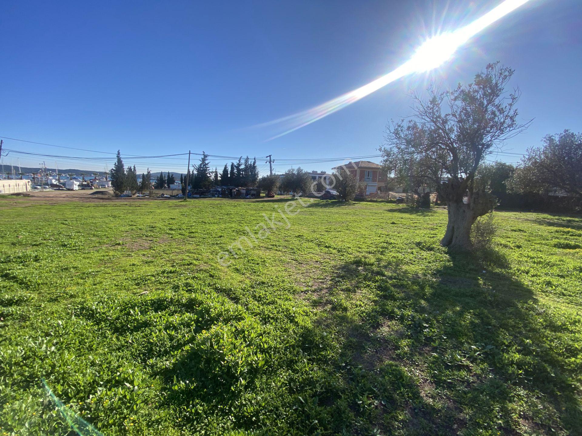 Ayvalık Cunda Da Satılık 3479 Metre Kare İmarlı Arsa - Görsel 7