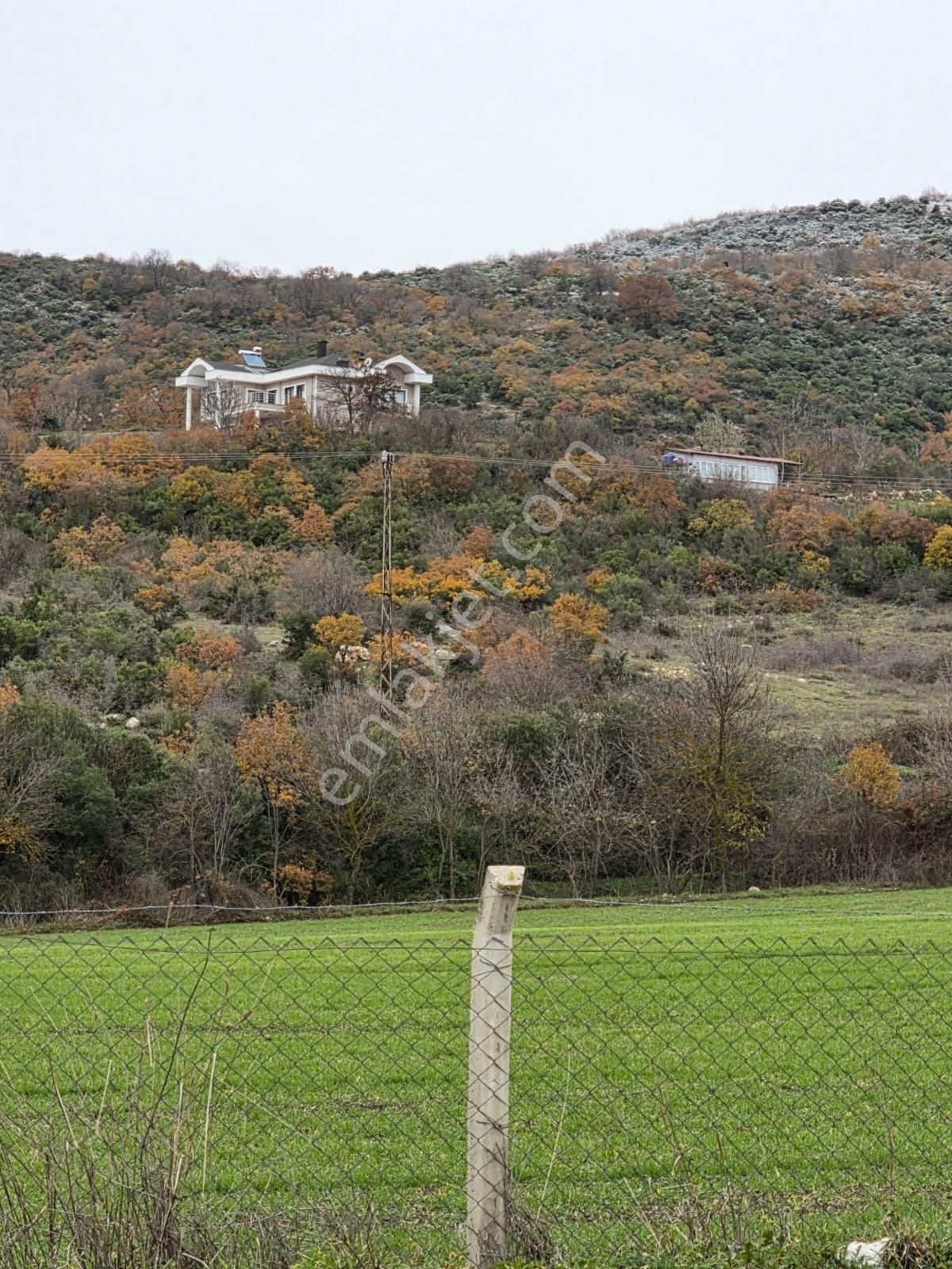 İnceoğlundan İlyasçılarda 536m2 Arsa İçerisinde Satılık Köy Evi - Görsel 16