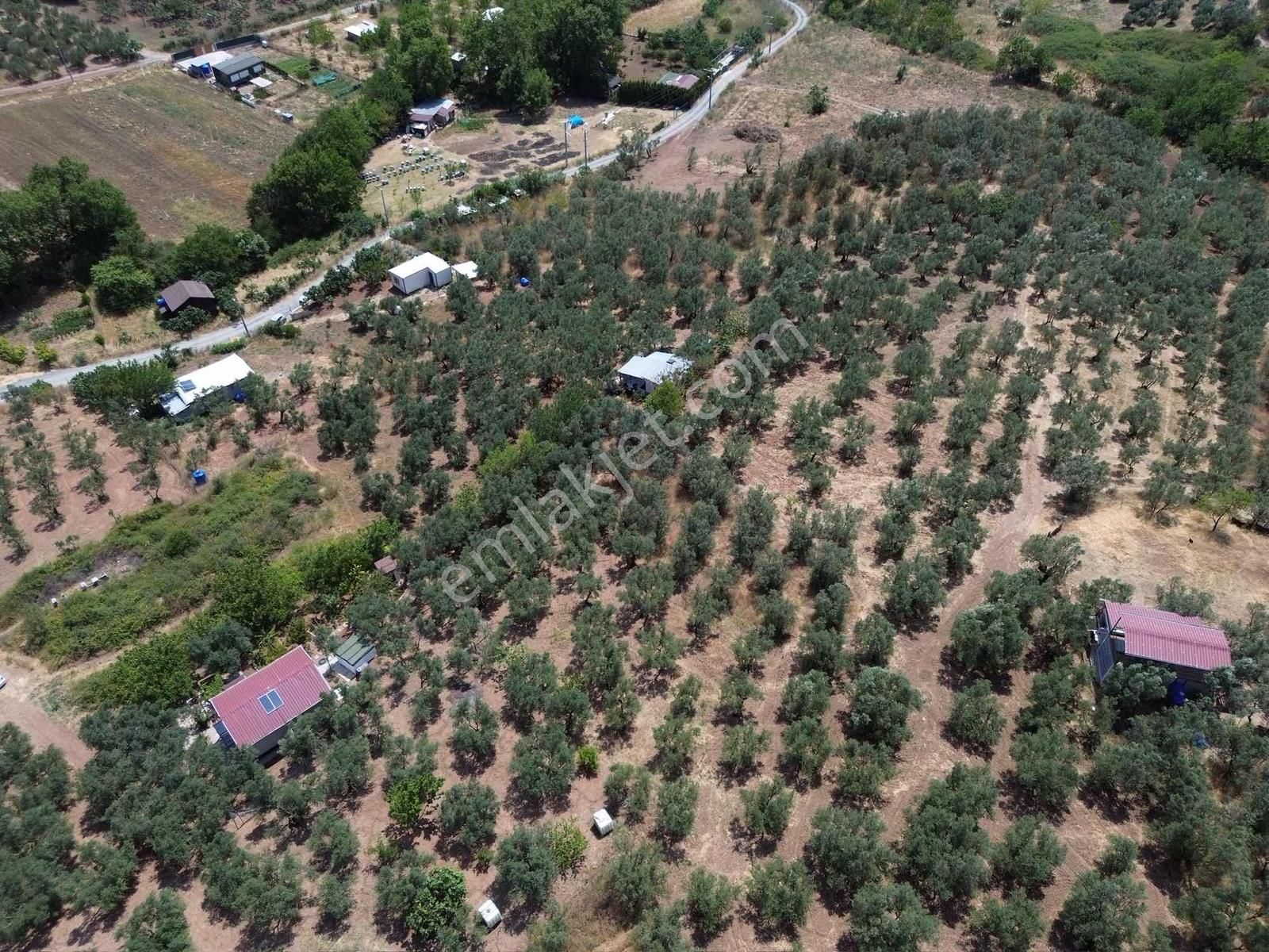 Koçak'tan Dereköy'de Köye Yakın Yatırımlık - Görsel 4