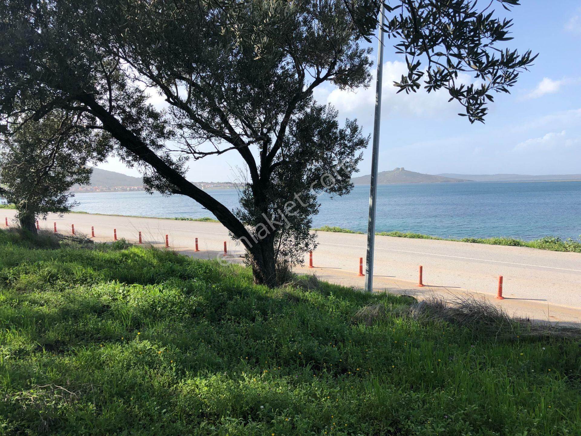 Ayvalık Cunda Da Satılık 6,969 Metre Kare Arsa.denize Sıfır. - Görsel 24