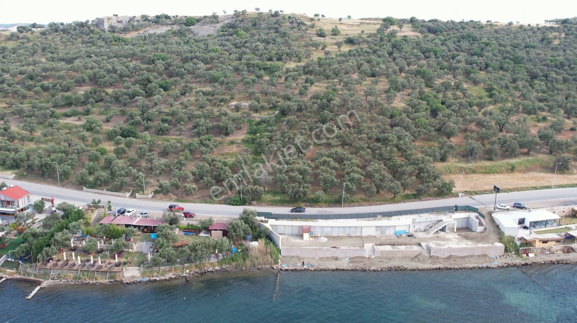 Ayvalık Cunda Da Satılık 6,969 Metre Kare Arsa.denize Sıfır. - Görsel 16