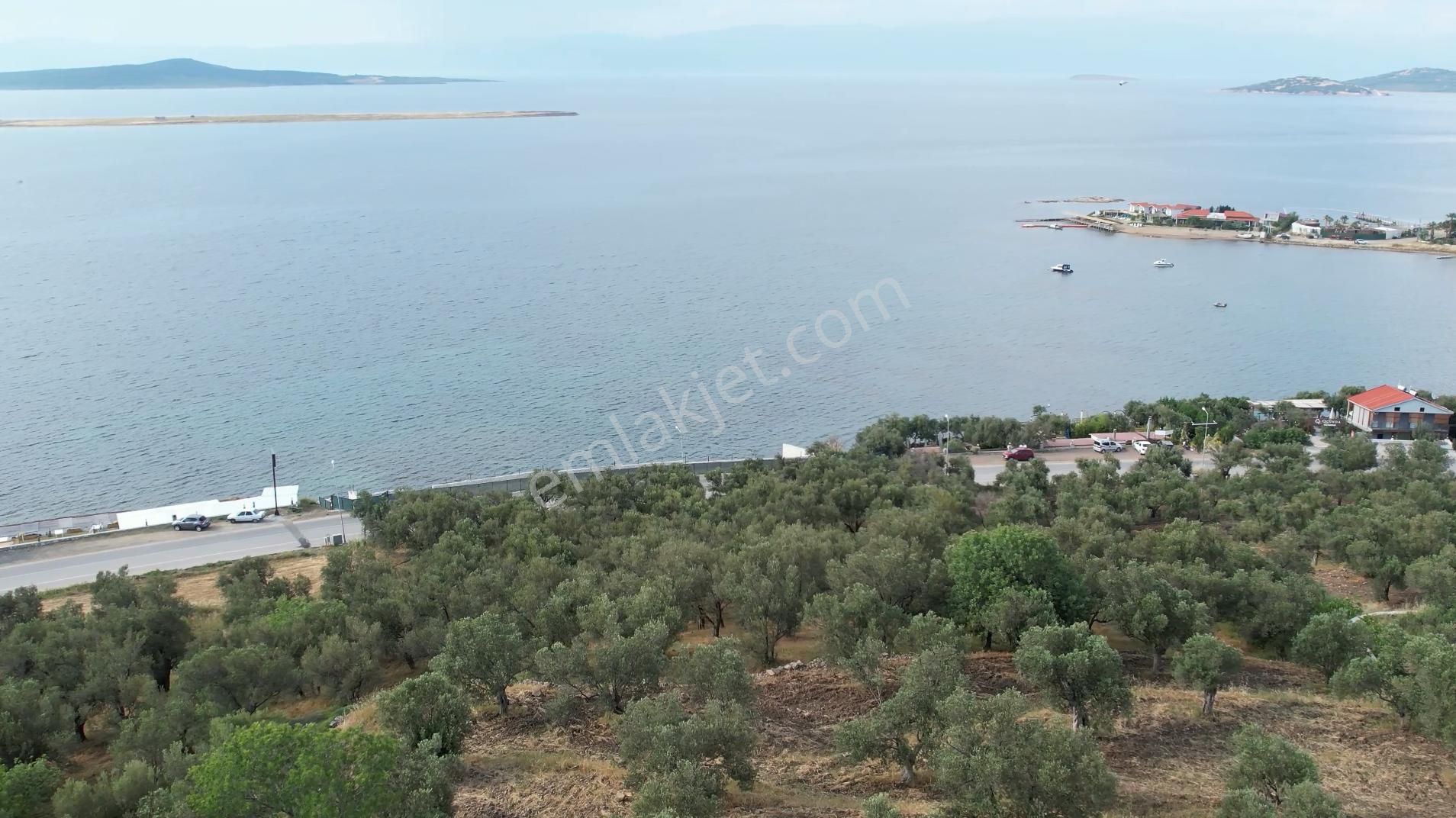 Ayvalık Cunda Da Satılık 6,969 Metre Kare Arsa.denize Sıfır. - Görsel 9