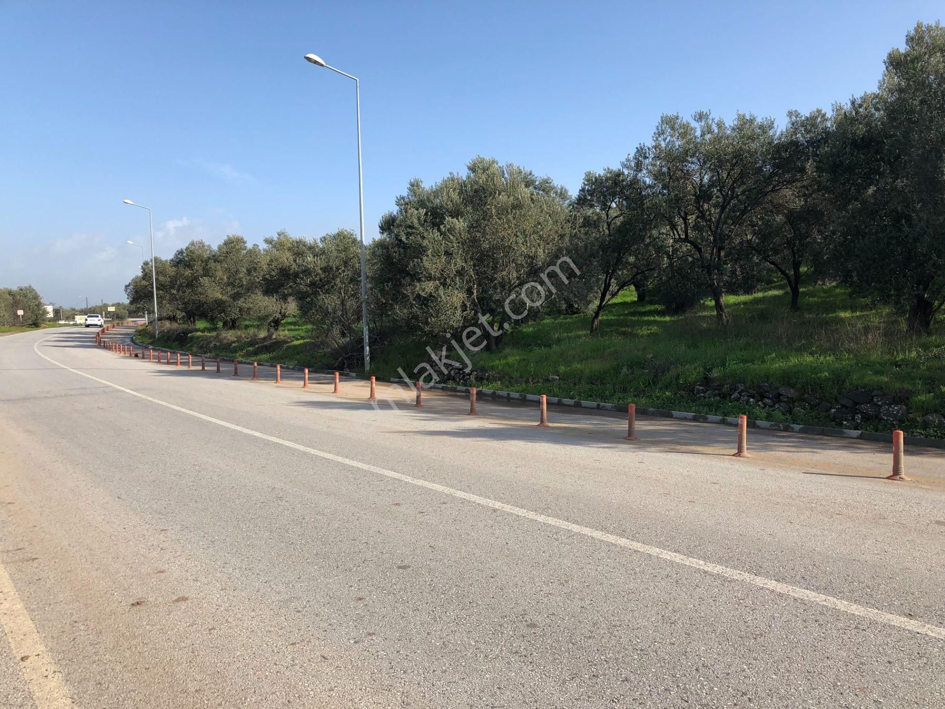 Ayvalık Cunda Da Satılık 6,969 Metre Kare Arsa.denize Sıfır. - Görsel 20