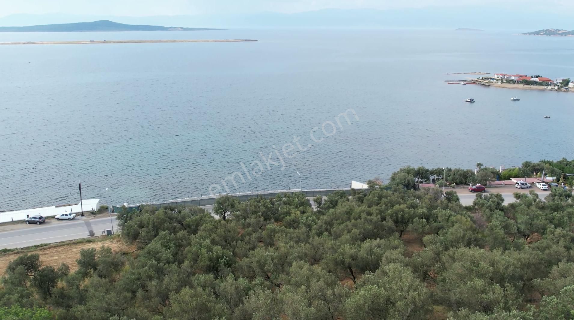 Ayvalık Cunda Da Satılık 6,969 Metre Kare Arsa.denize Sıfır. - Görsel 11