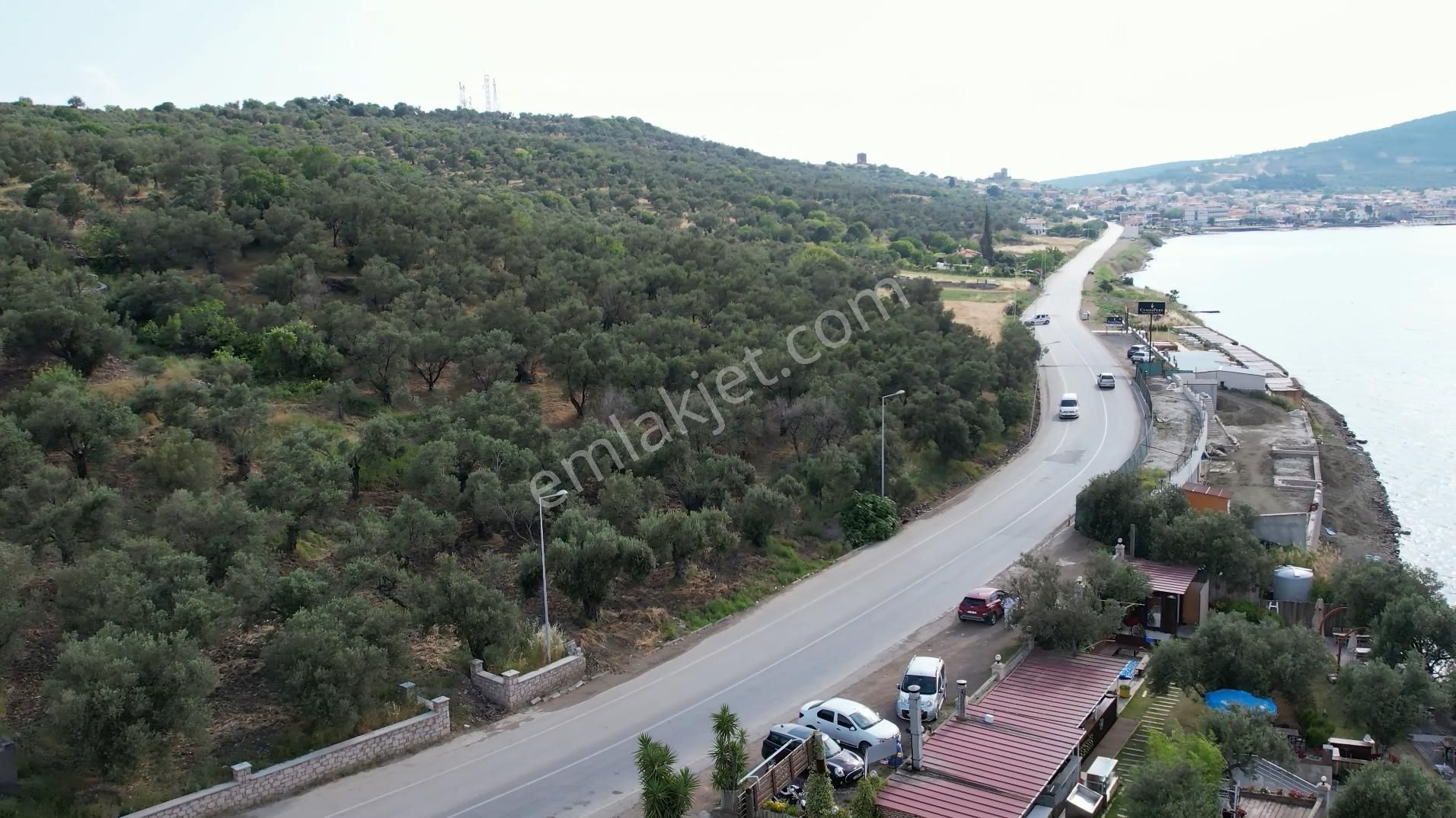 Ayvalık Cunda Da Satılık 6,969 Metre Kare Arsa.denize Sıfır. - Görsel 2