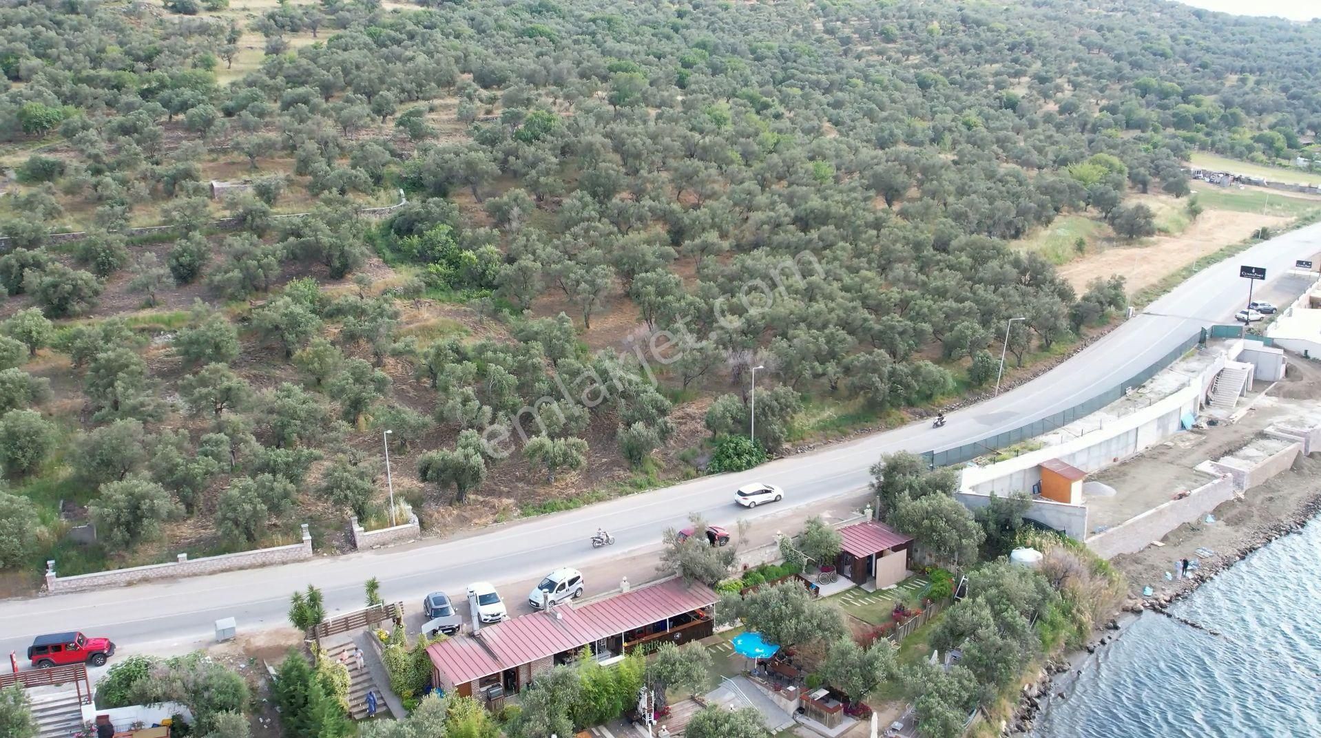 Ayvalık Cunda Da Satılık 6,969 Metre Kare Arsa.denize Sıfır. - Görsel 8