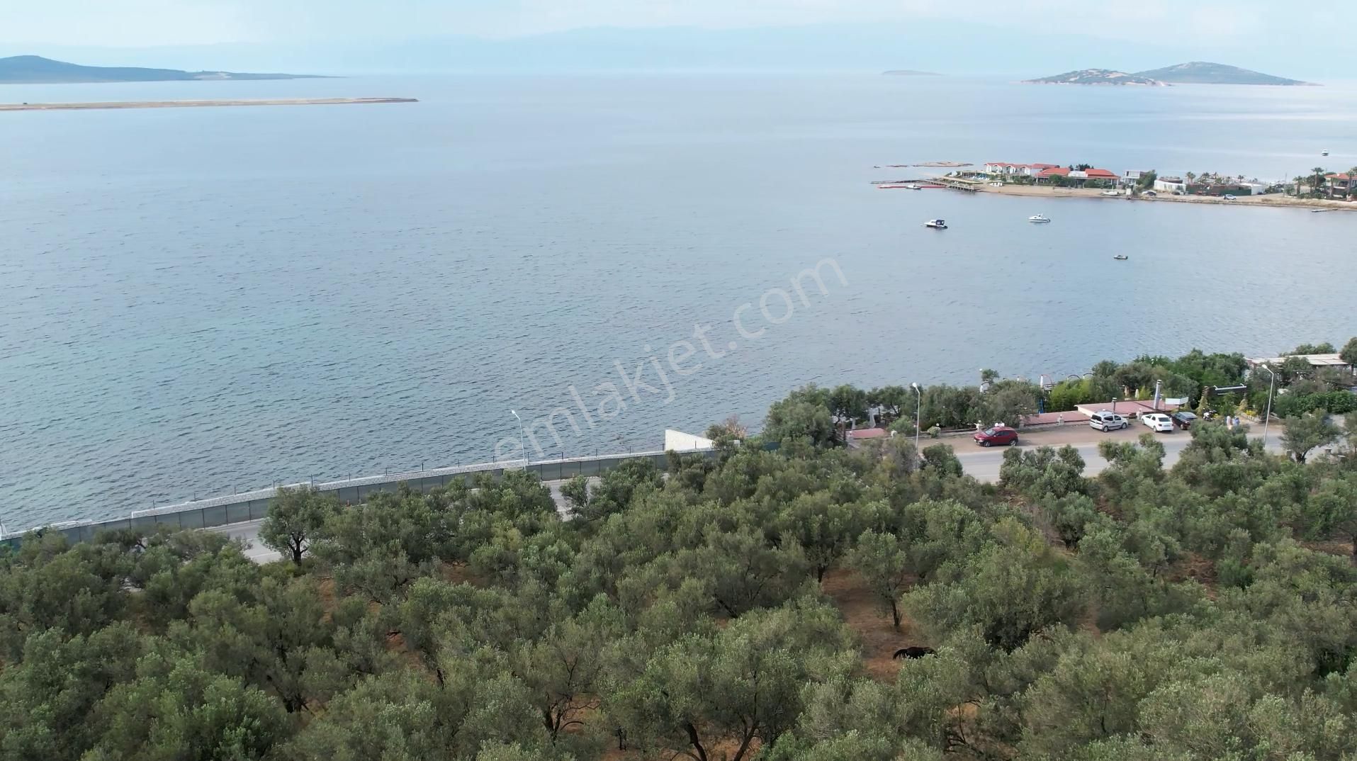 Ayvalık Cunda Da Satılık 6,969 Metre Kare Arsa.denize Sıfır. - Görsel 13