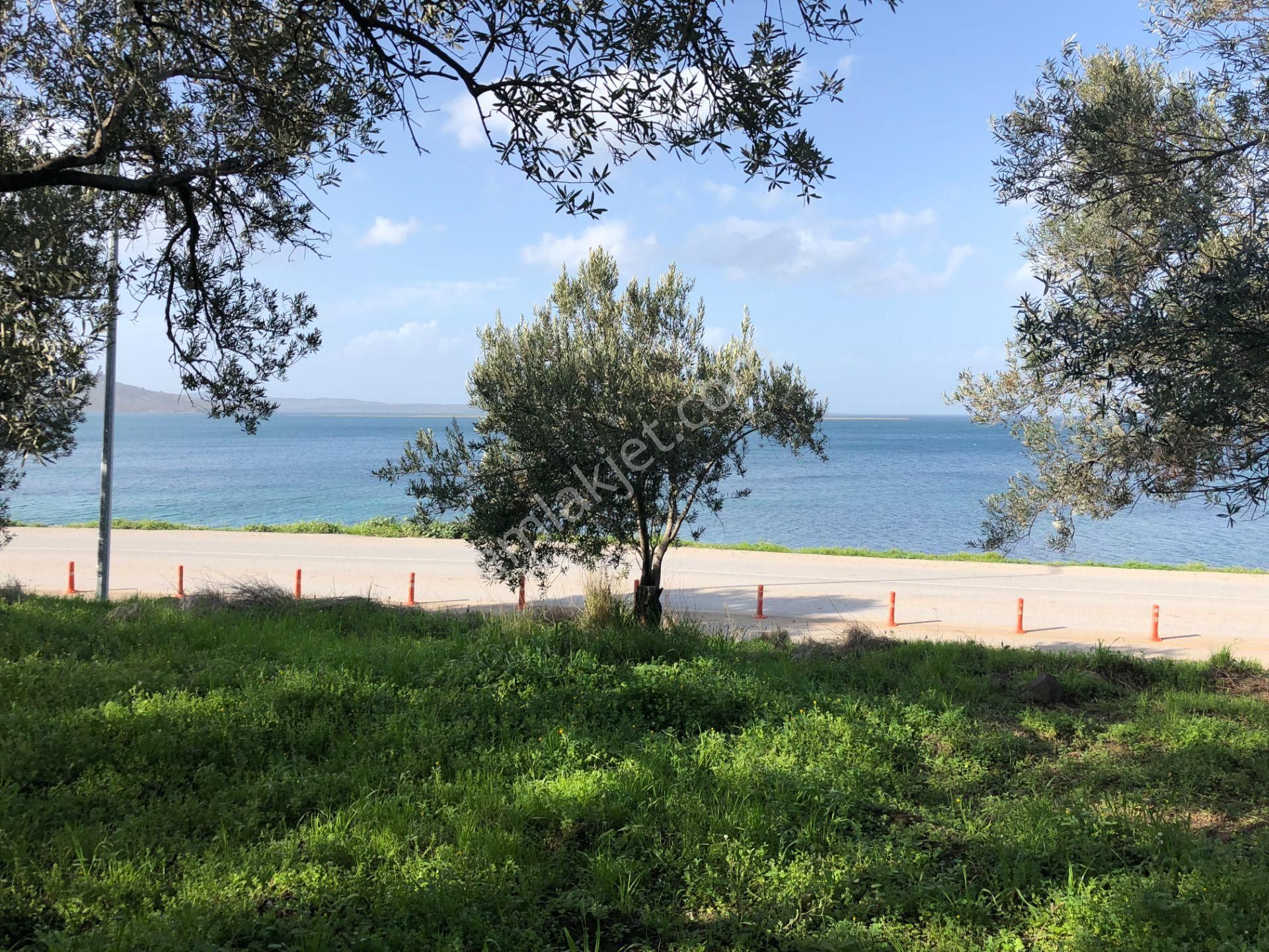 Ayvalık Cunda Da Satılık 6,969 Metre Kare Arsa.denize Sıfır. - Görsel 23