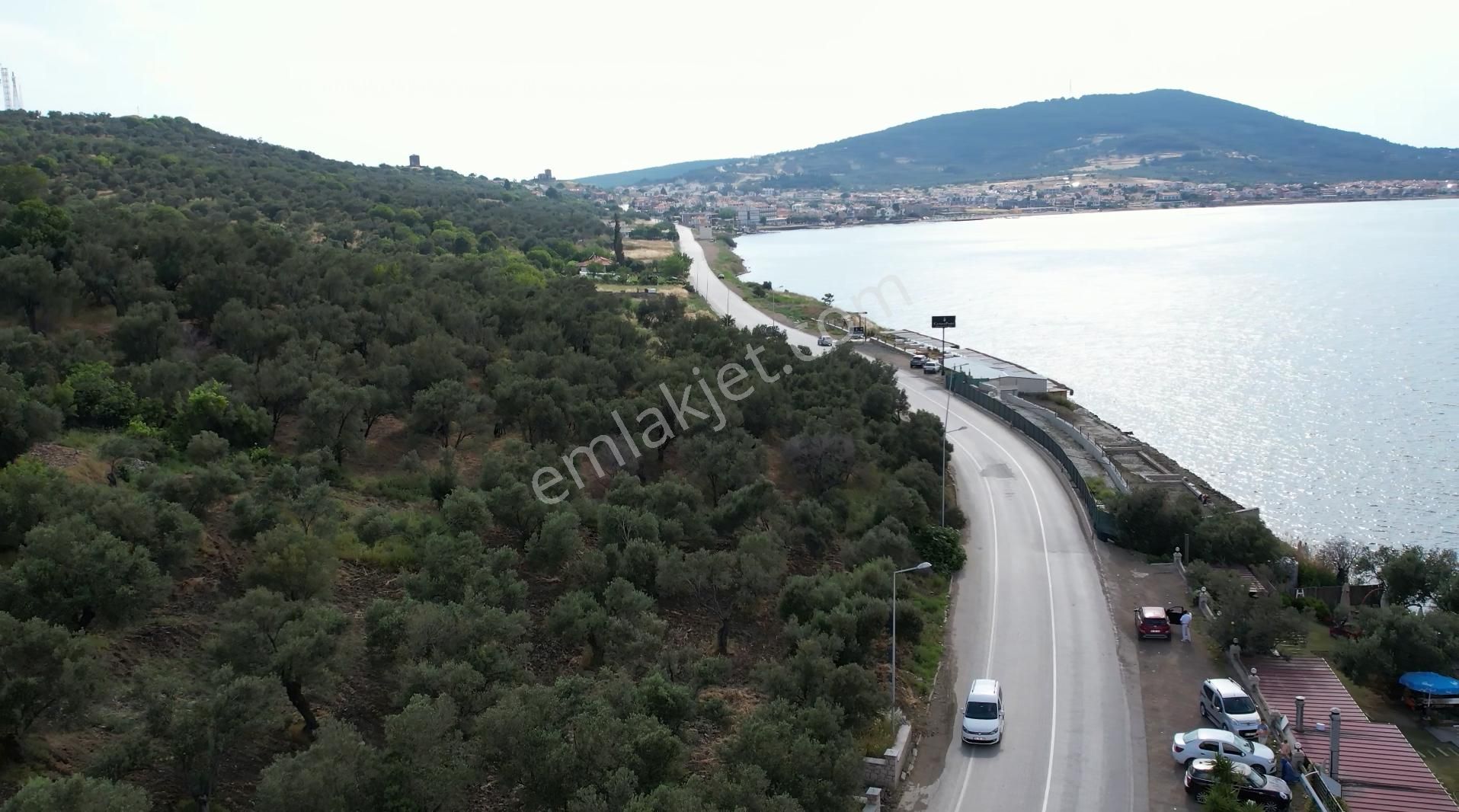 Ayvalık Cunda Da Satılık 6,969 Metre Kare Arsa.denize Sıfır. - Görsel 3