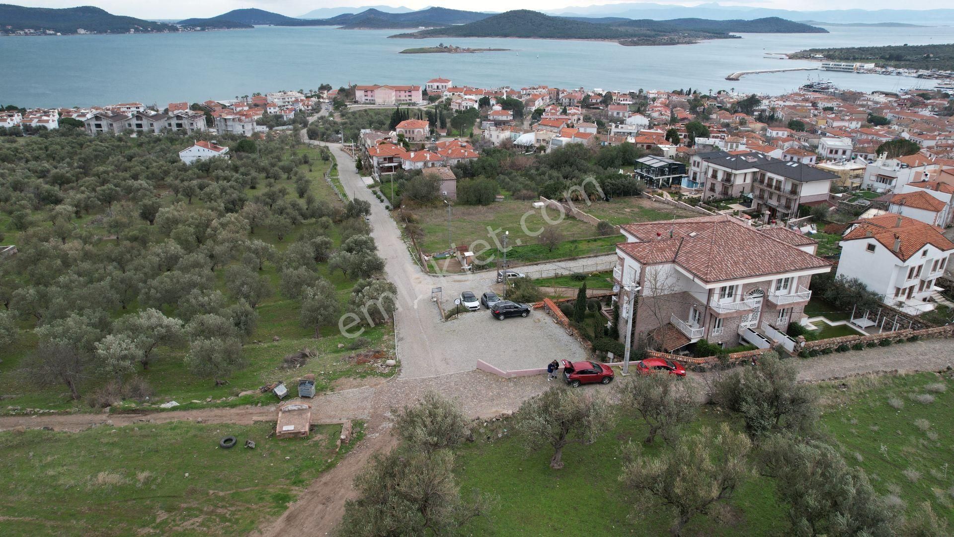 Balıkesir Ayvalık Cunda Da Satılık 2,700 Metre Kare Zeytinlik.