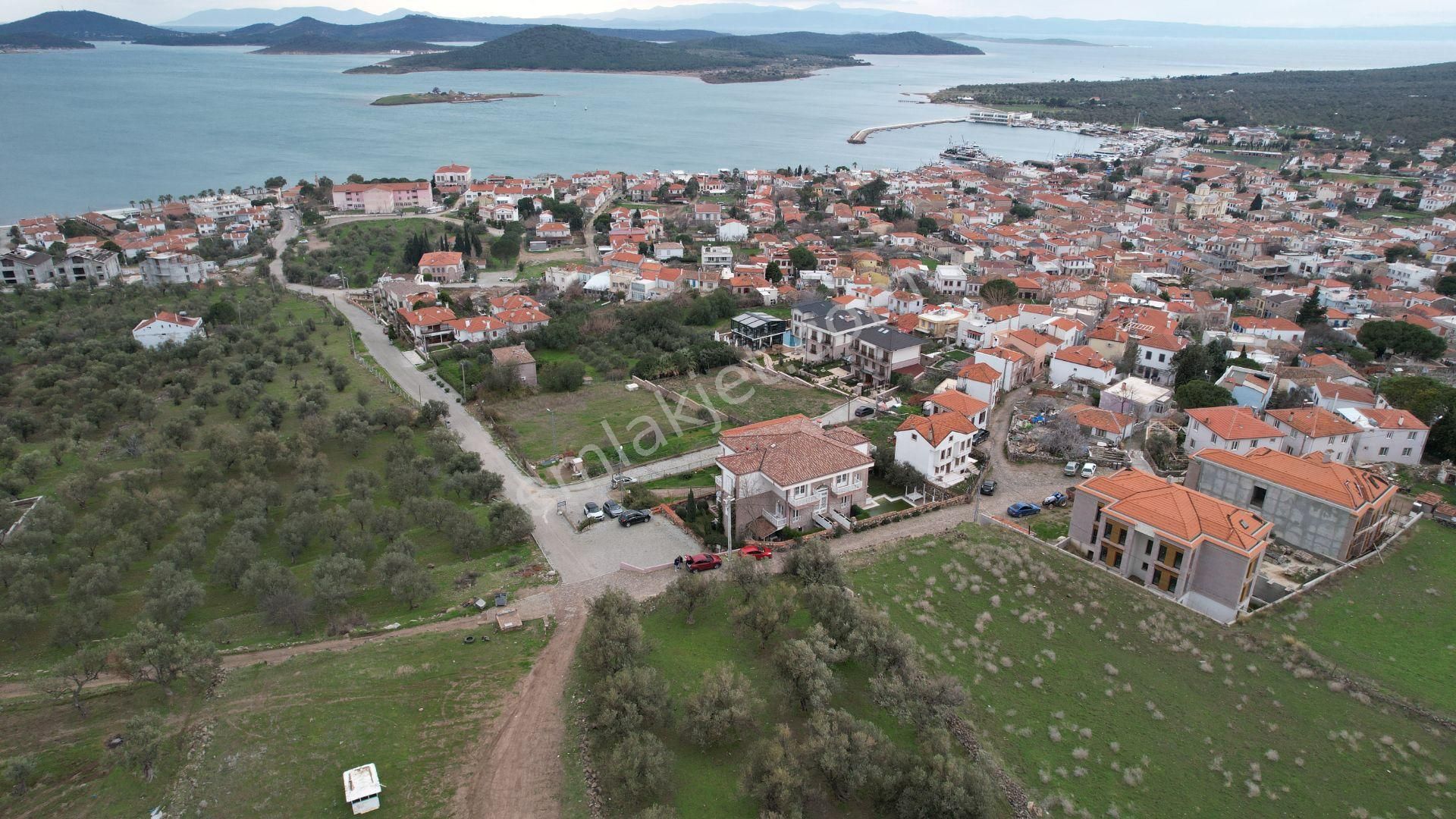 Balıkesir Ayvalık Cunda Da Satılık 2,700 Metre Kare Zeytinlik. - Görsel 8