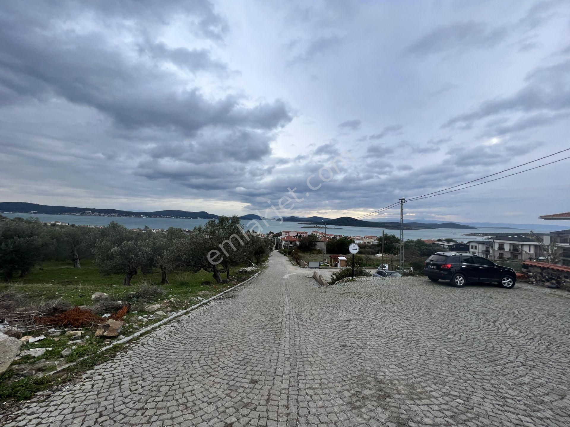 Balıkesir Ayvalık Cunda Da Satılık 2,700 Metre Kare Zeytinlik. - Görsel 4