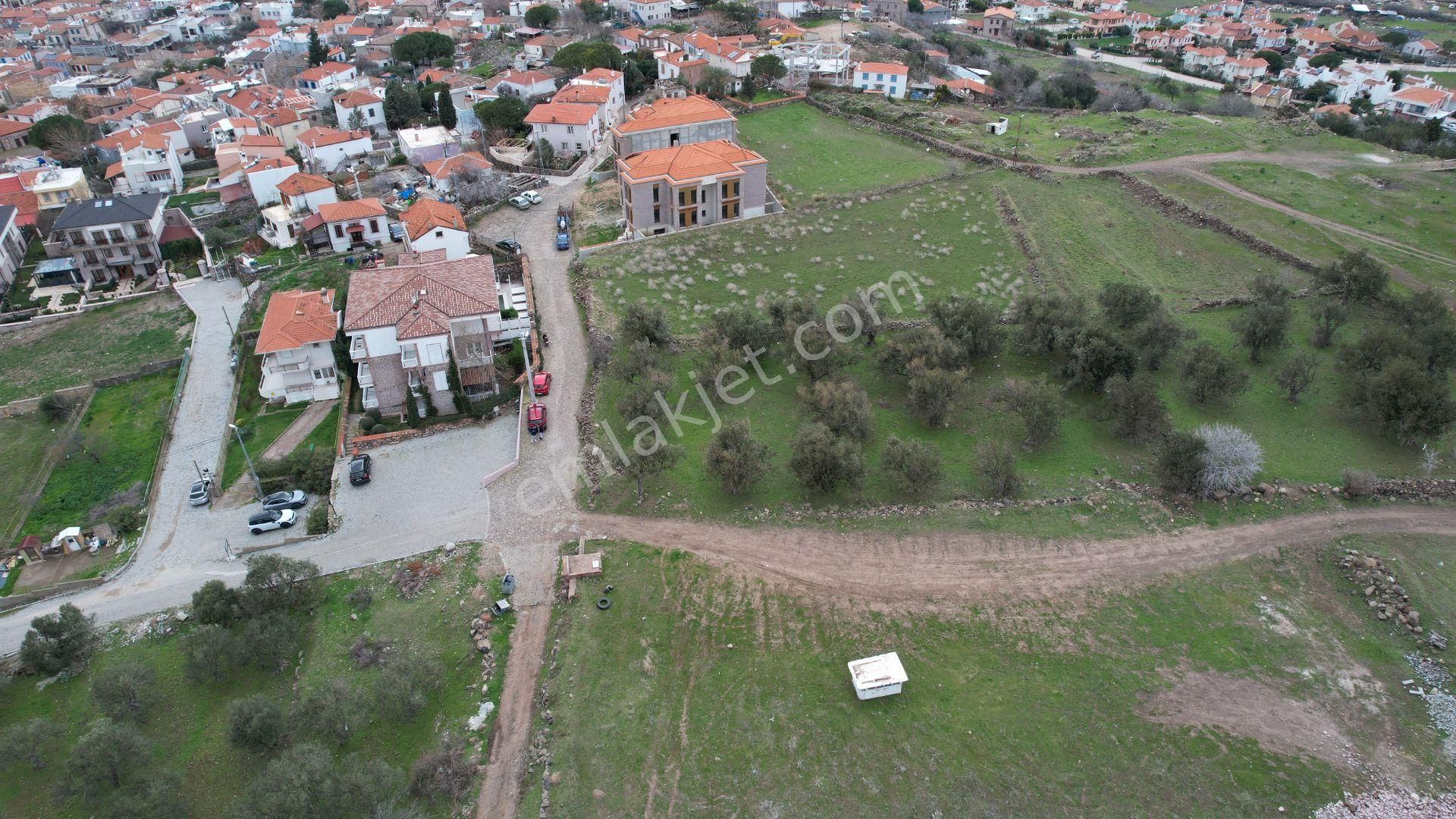 Balıkesir Ayvalık Cunda Da Satılık 2,700 Metre Kare Zeytinlik. - Görsel 10