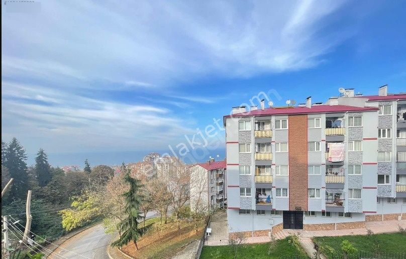 Kaçmaz Emlak Trabzon 3 Nolu Erdoğdu Mah Satılık 3+1 Daire - Görsel 9