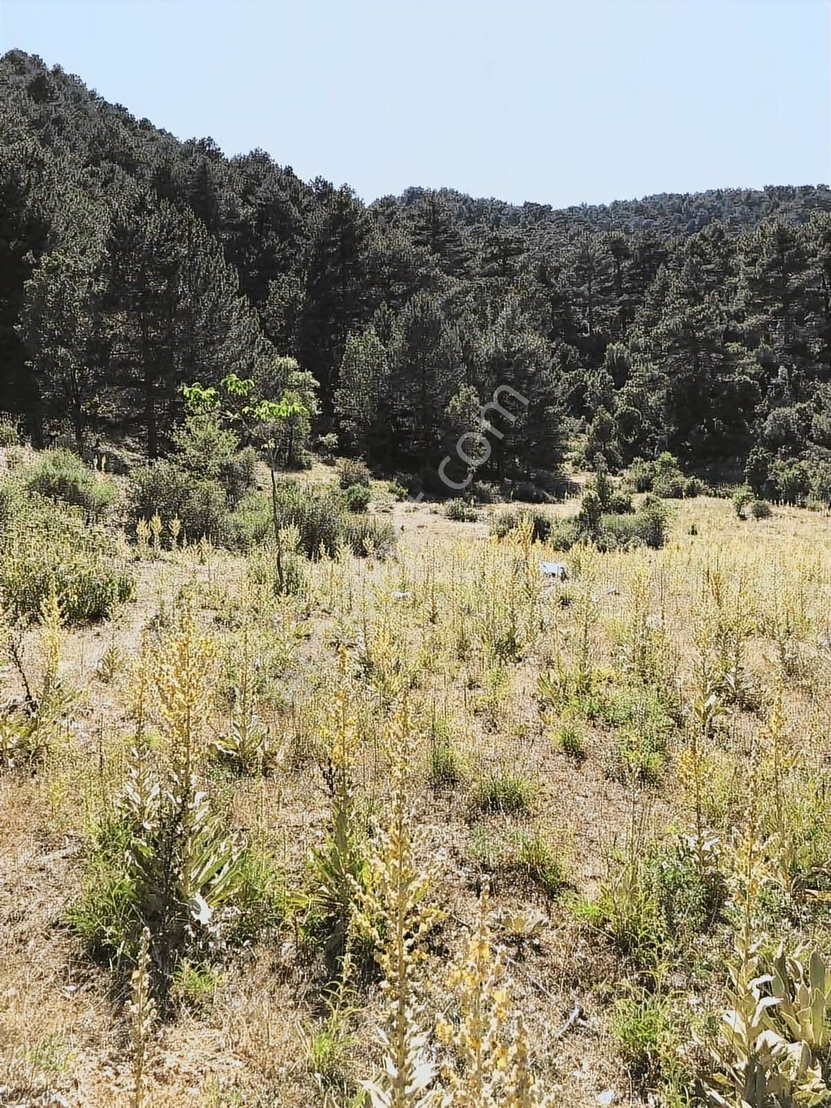 Fethiye Koru Köyünde Satılık 828 M2 Tarla - Görsel 3