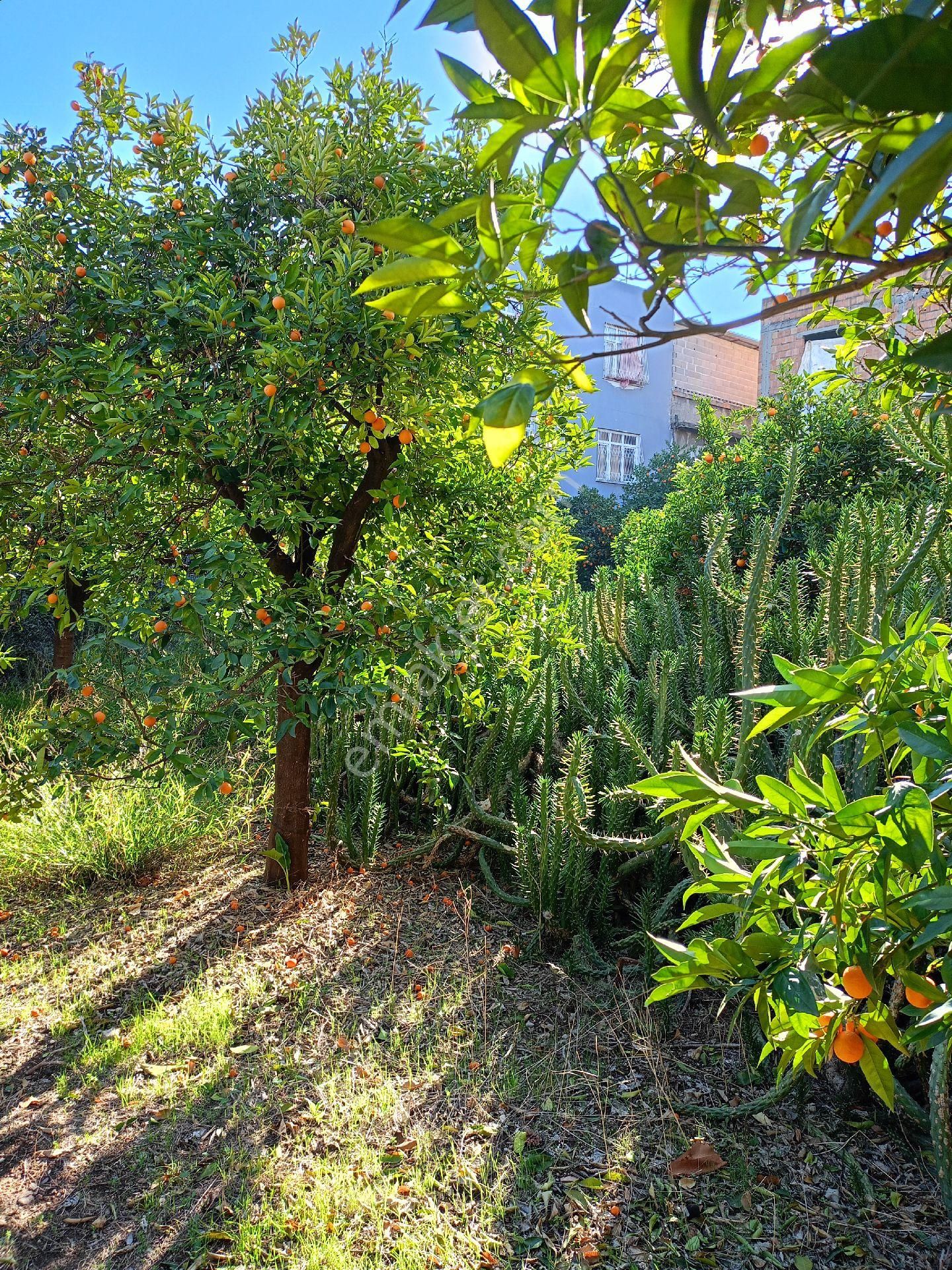 Adana Seyhan İsmetpaşa Mah. 1267m2 Satılık 2 Katlı Müstakil - Görsel 29