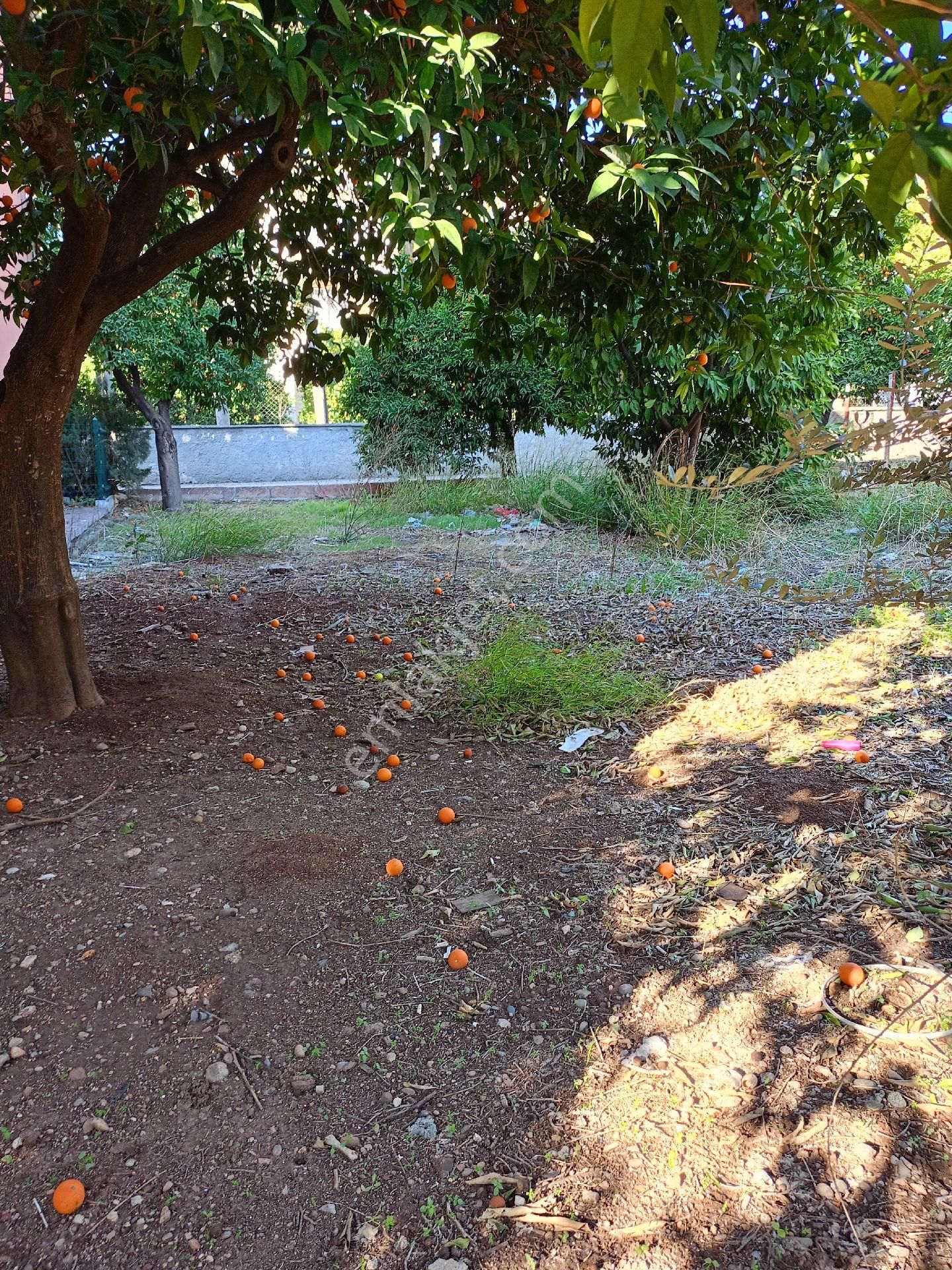 Adana Seyhan İsmetpaşa Mah. 1267m2 Satılık 2 Katlı Müstakil - Görsel 30