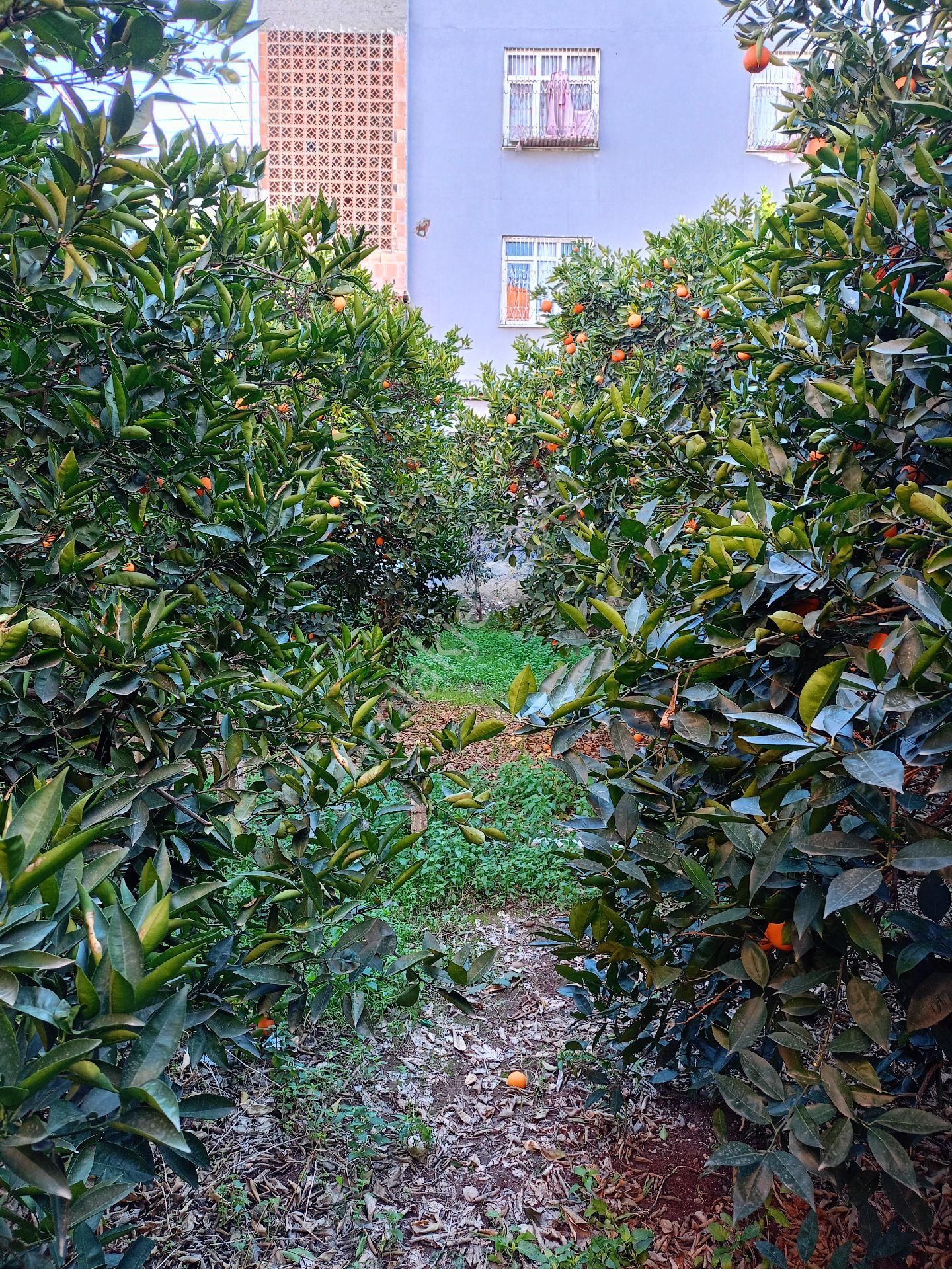 Adana Seyhan İsmetpaşa Mah. 1267m2 Satılık 2 Katlı Müstakil - Görsel 22