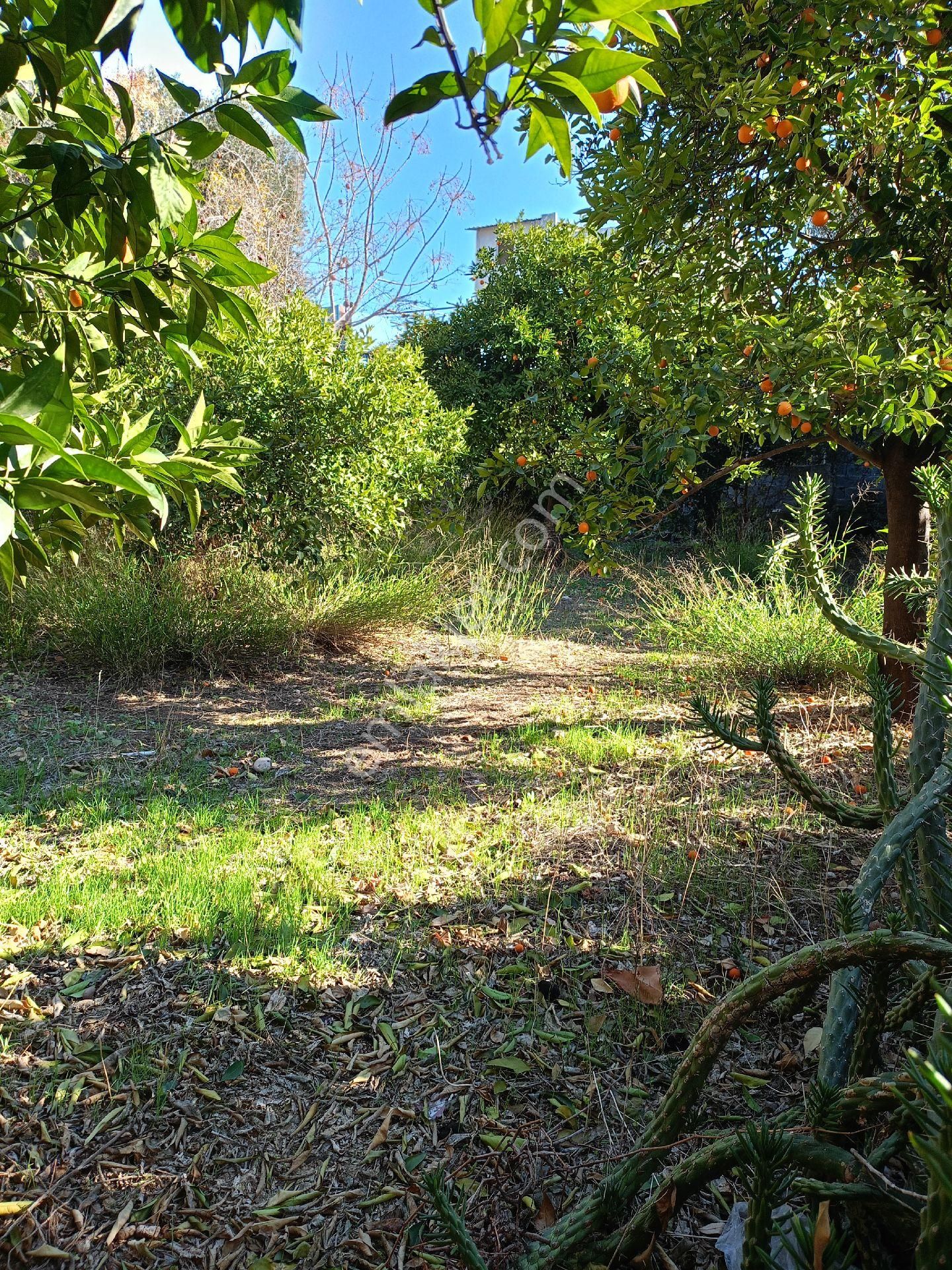 Adana Seyhan İsmetpaşa Mah. 1267m2 Satılık 2 Katlı Müstakil - Görsel 26