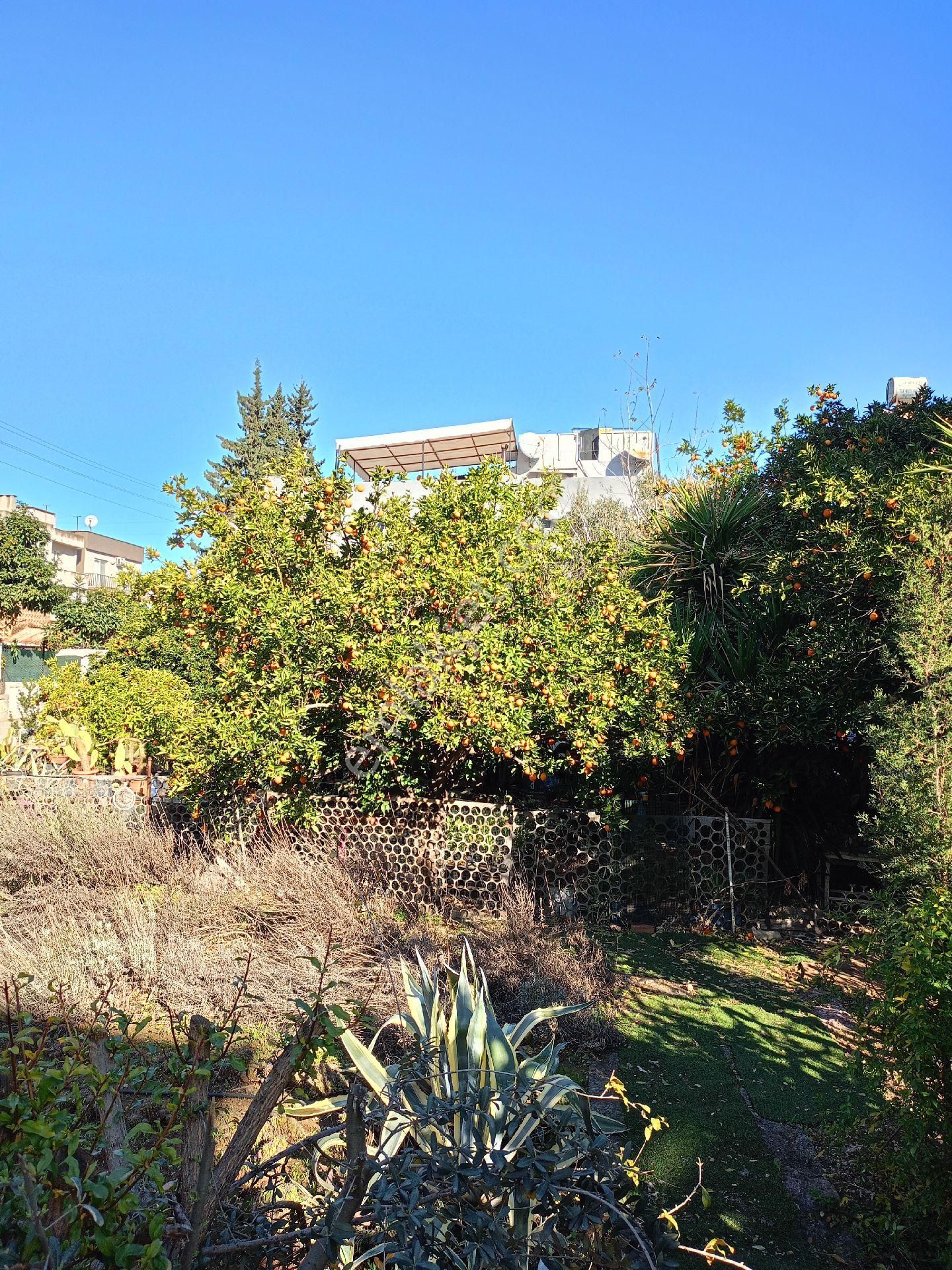 Adana Seyhan İsmetpaşa Mah. 1267m2 Satılık 2 Katlı Müstakil - Görsel 34