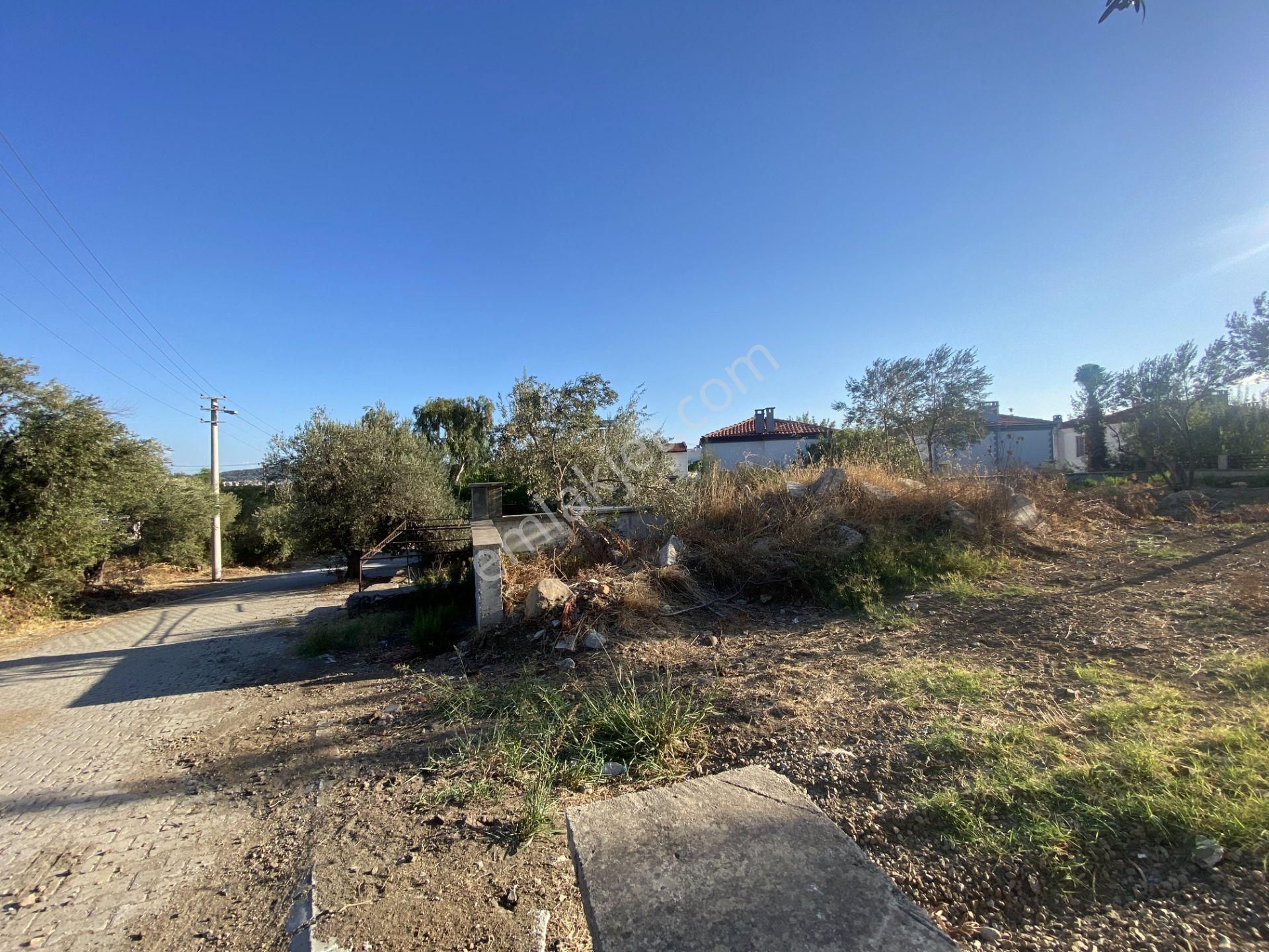 Balıkesir Ayvalık Cunda Da Satılık Muhtesem Villa.denize Sıfır. - Görsel 10