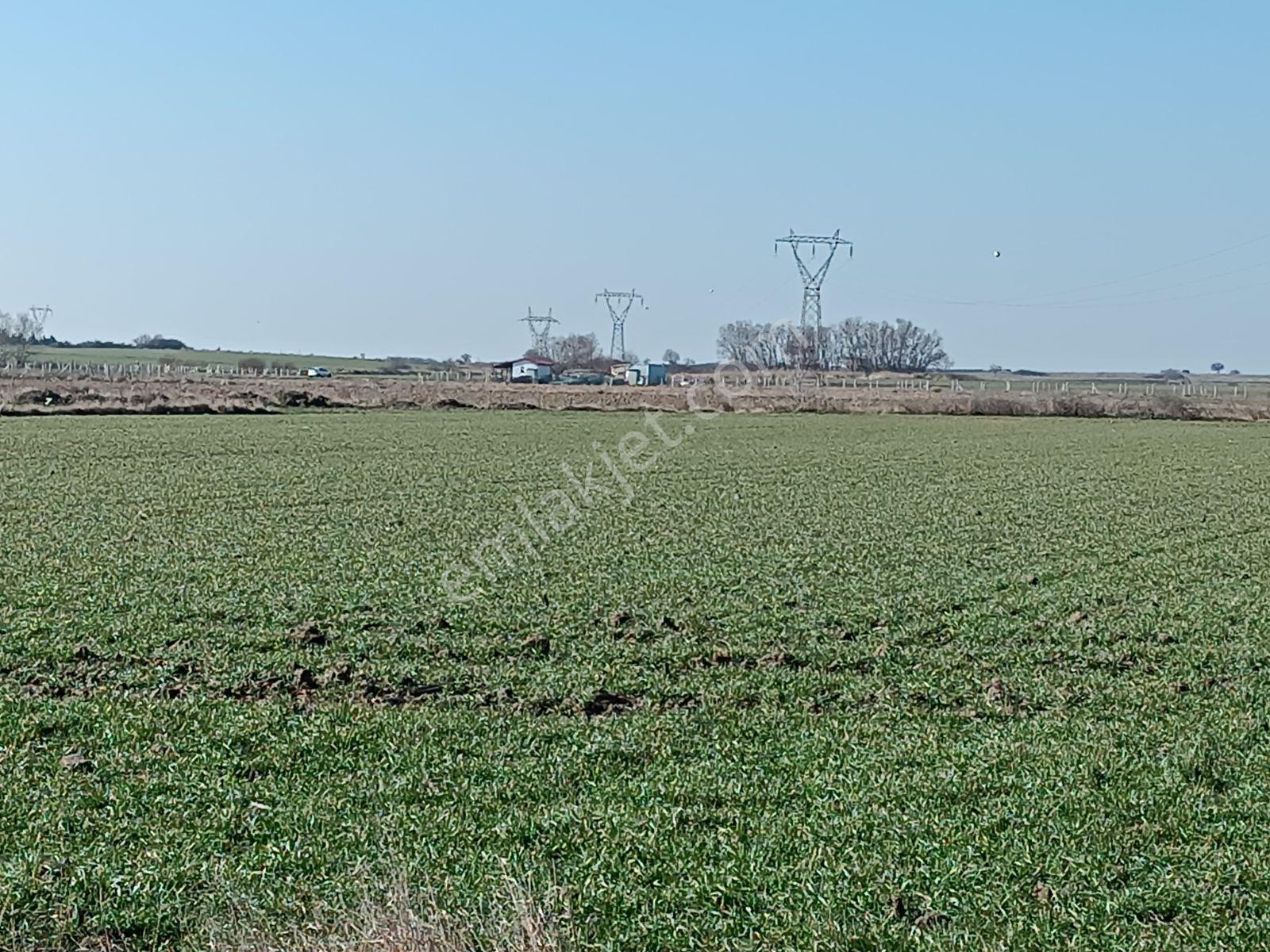Çukuryurt Yeşilçeşme Mevkinde Satılık 273 M2 Tarla - Görsel 6