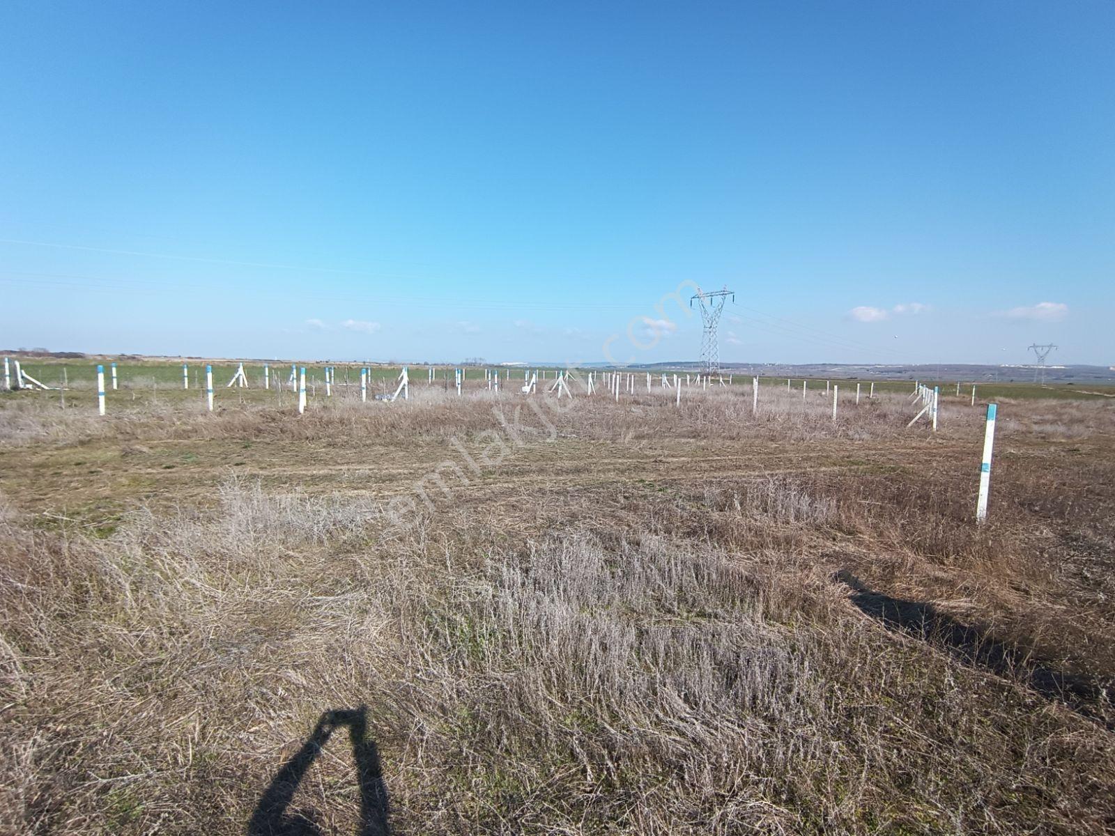 Çukuryurt Yeşilçeşme Mevkinde Satılık 273 M2 Tarla - Görsel 7