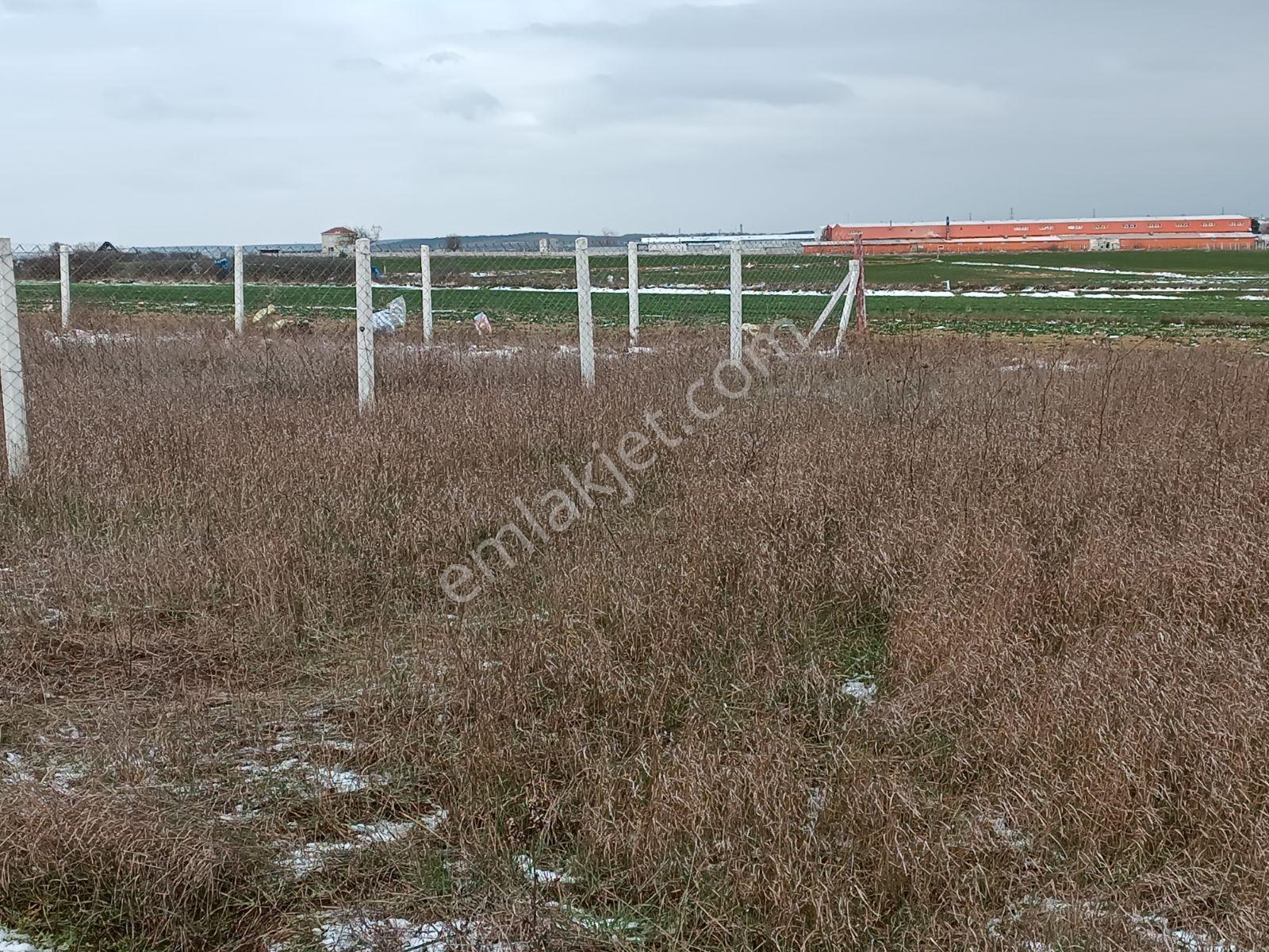 Çukuryurt Yeşilçeşme Mevkinde Satılık 273 M2 Tarla