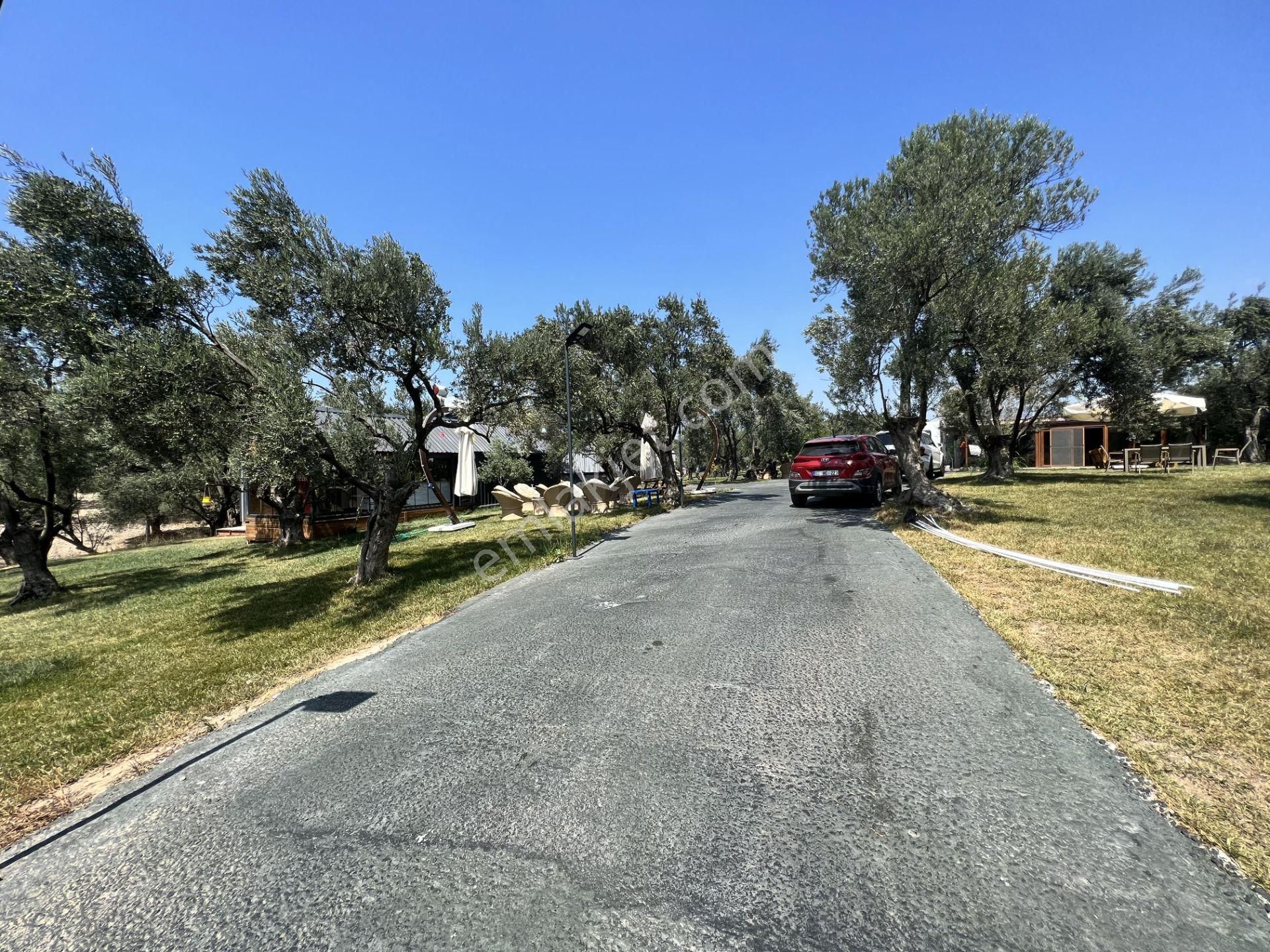 Türkiye Balıkesir Ayvalık Ta Satılık 10,275 Metre Karedir Arsa. - Görsel 4