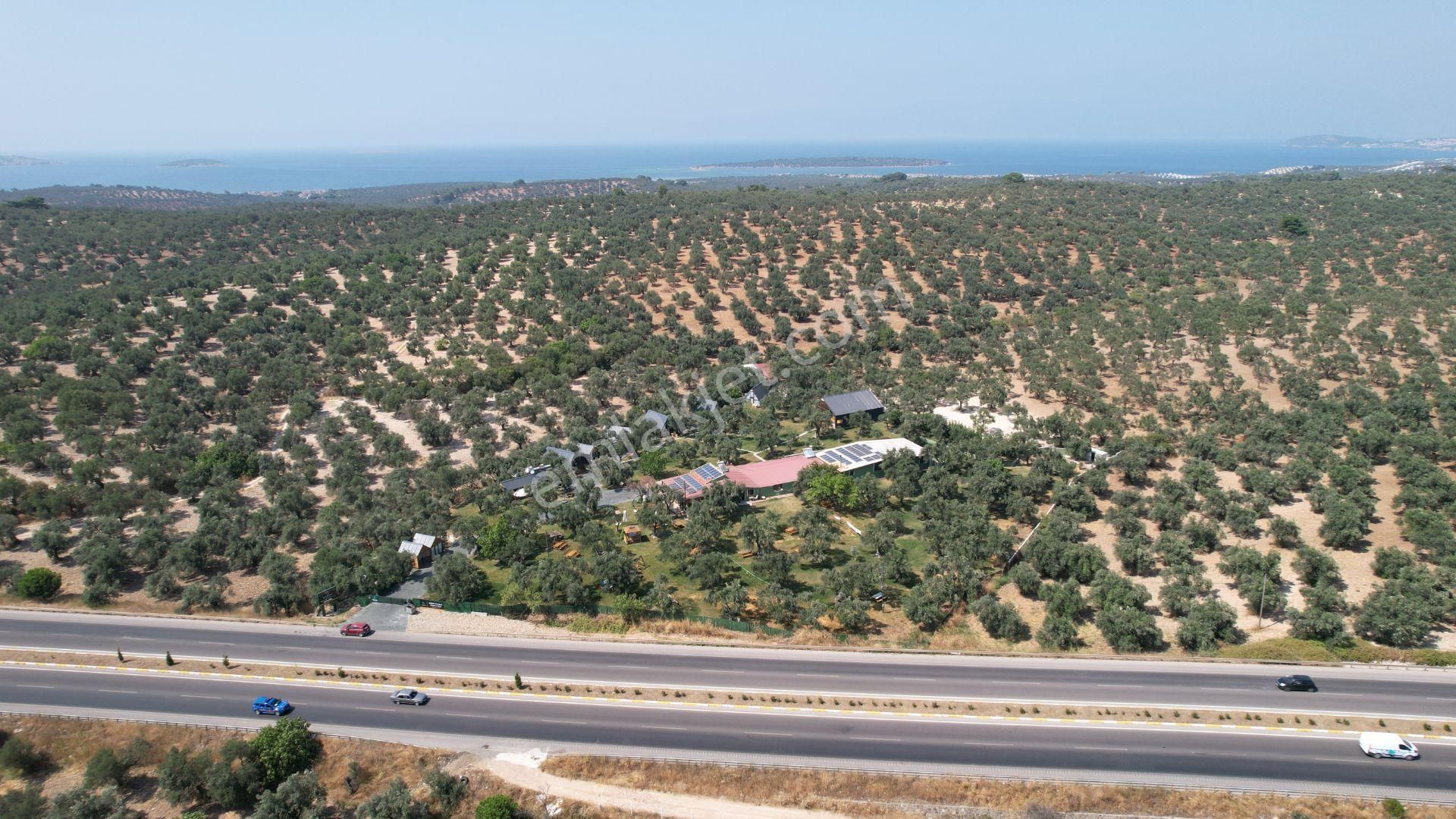 Türkiye Balıkesir Ayvalık Ta Satılık 10,275 Metre Karedir Arsa. - Görsel 6