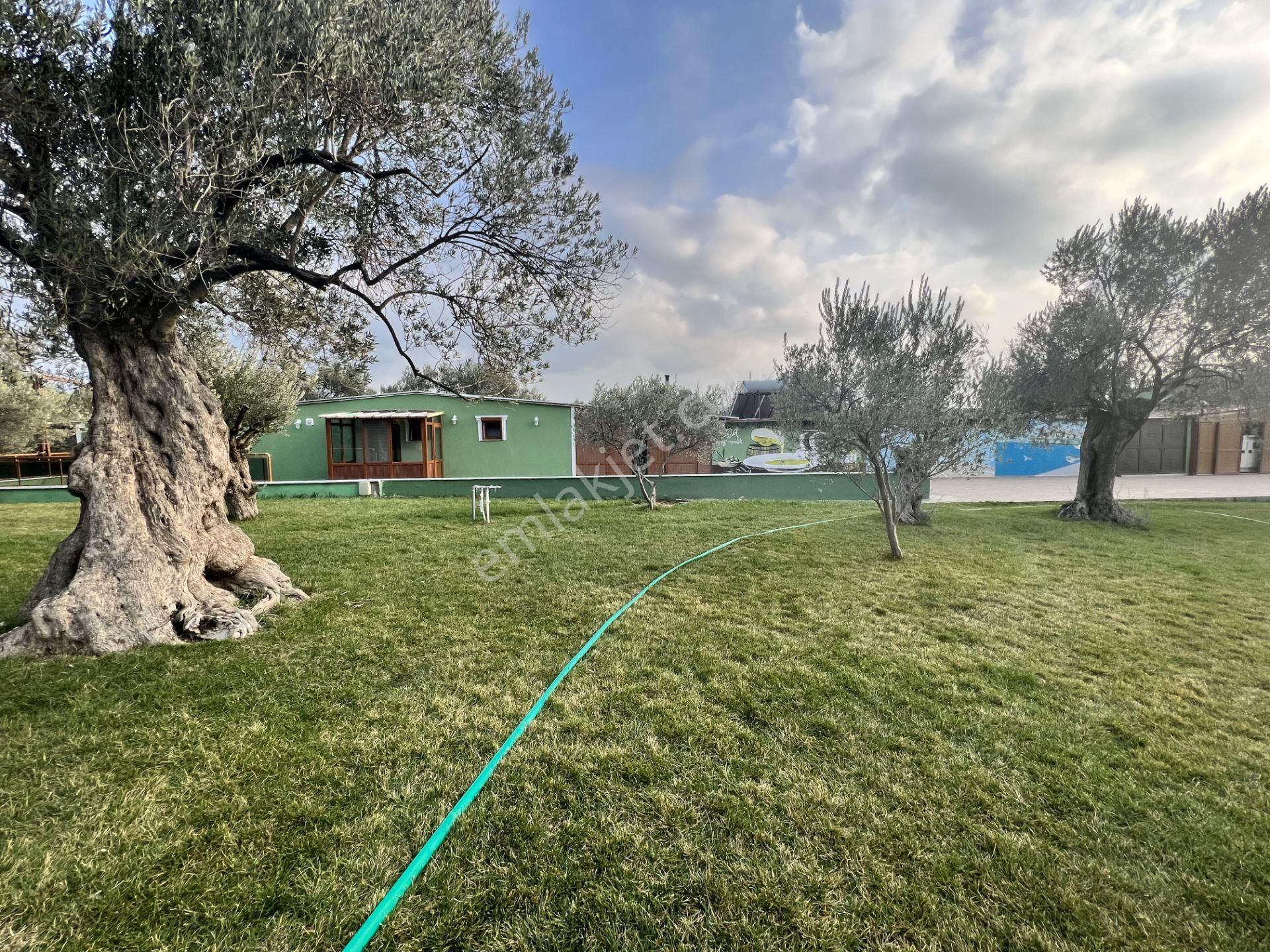 Türkiye Balıkesir Ayvalık Ta Satılık 10,275 Metre Karedir Arsa. - Görsel 24