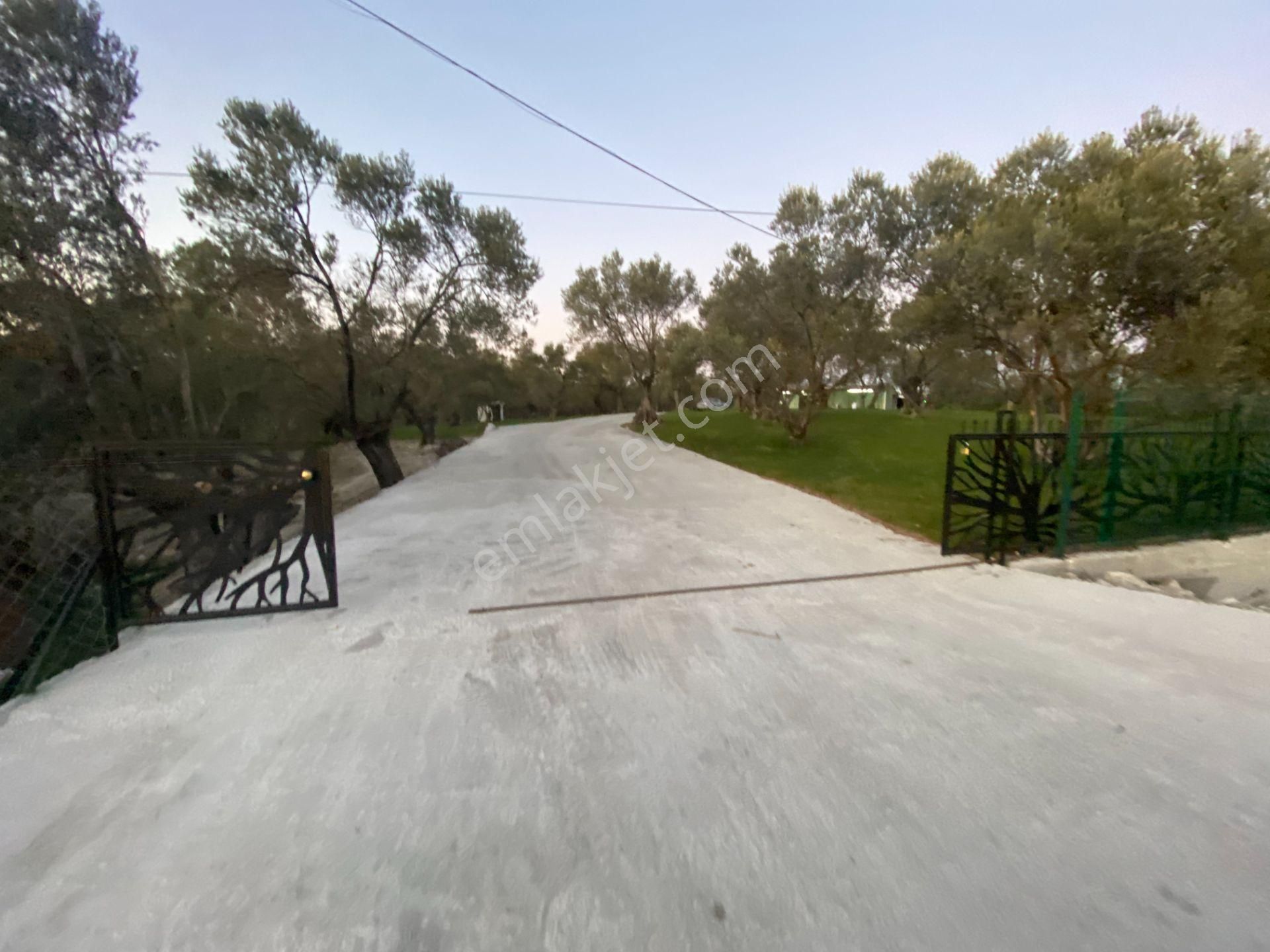 Türkiye Balıkesir Ayvalık Ta Satılık 10,275 Metre Karedir Arsa. - Görsel 23