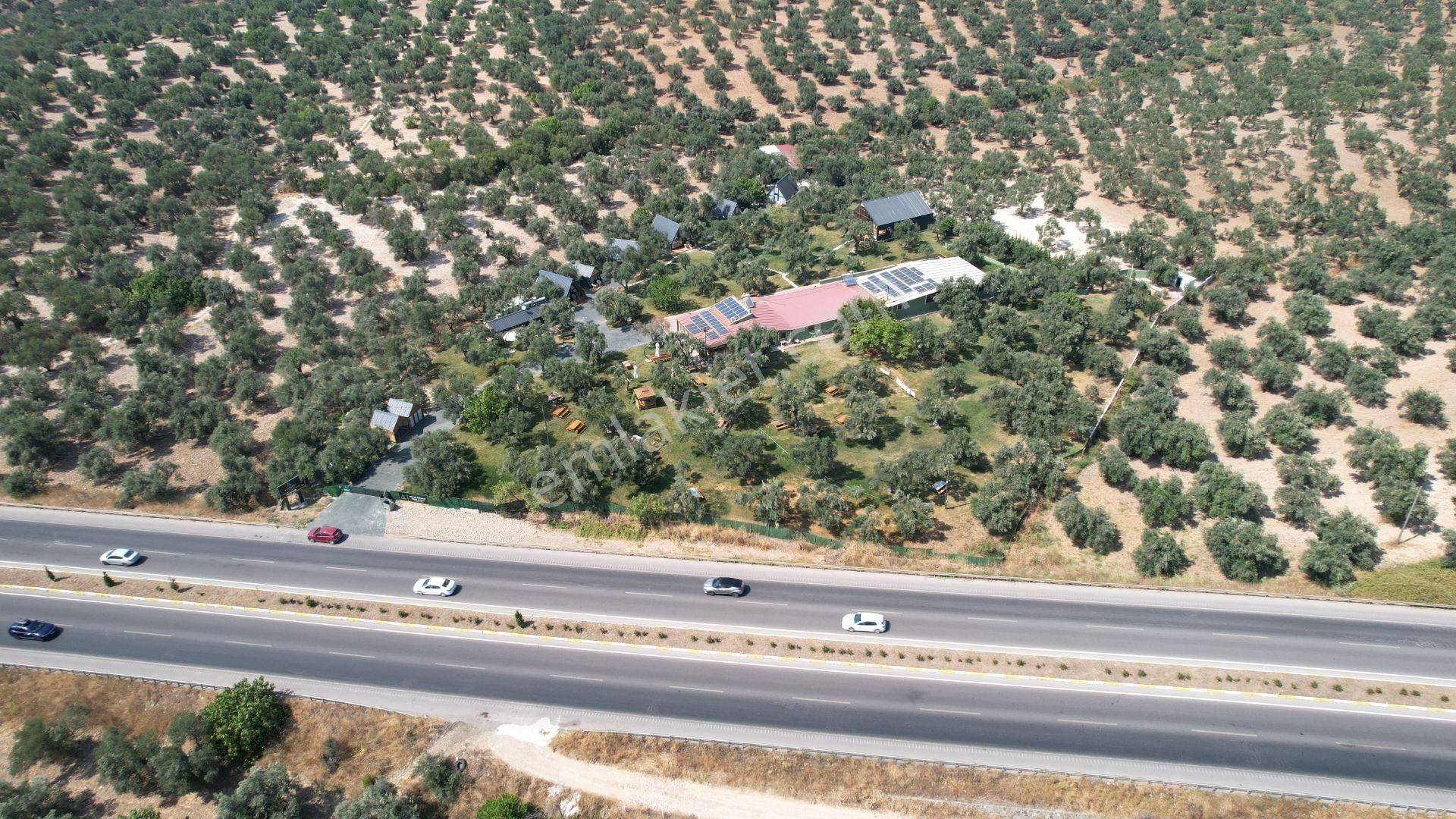 Türkiye Balıkesir Ayvalık Ta Satılık 10,275 Metre Karedir Arsa. - Görsel 3