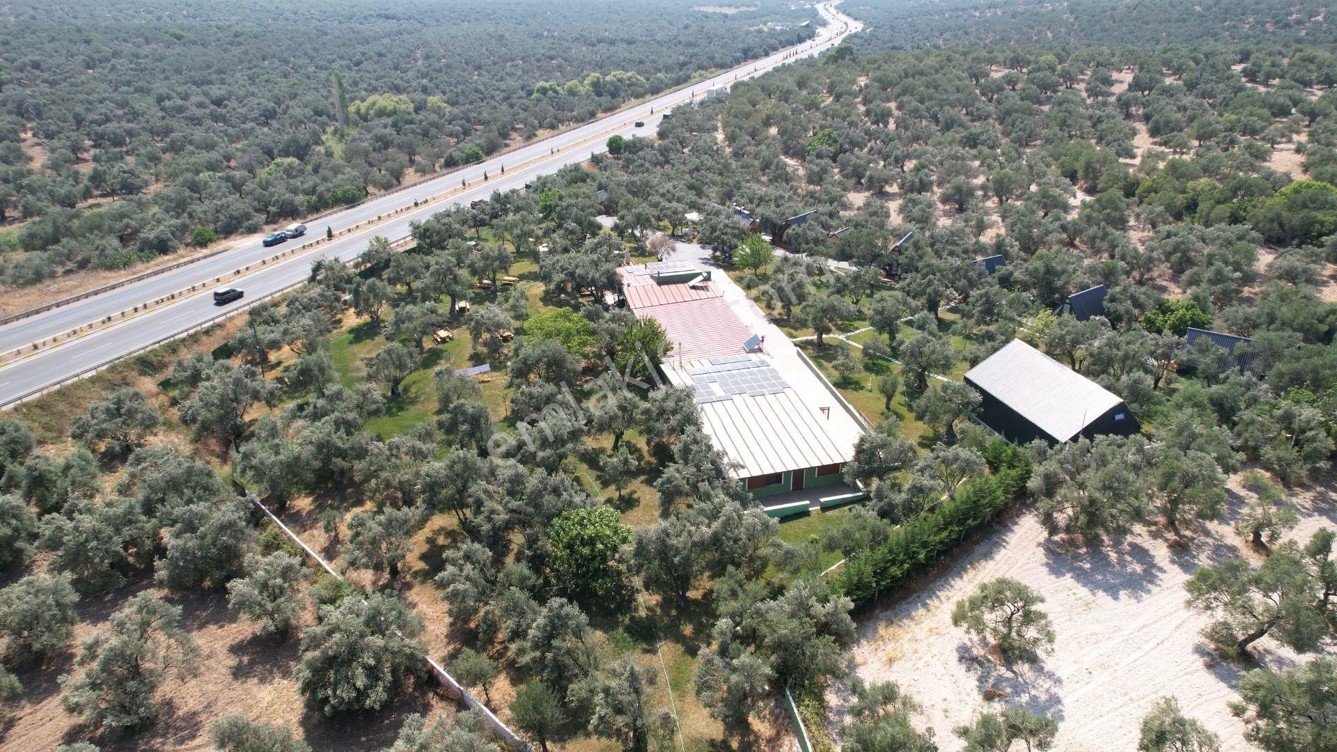 Türkiye Balıkesir Ayvalık Ta Satılık 10,275 Metre Karedir Arsa.