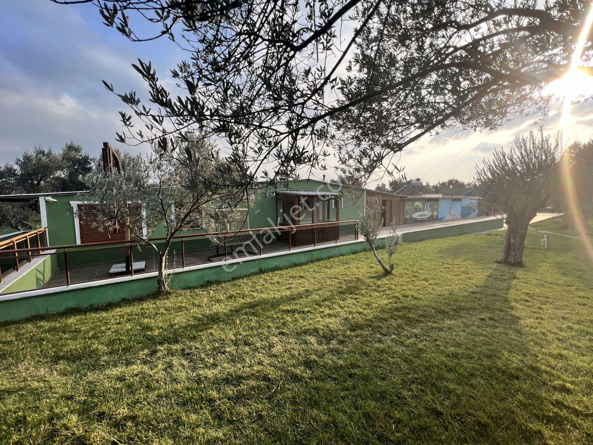 Türkiye Balıkesir Ayvalık Ta Satılık 10,275 Metre Karedir Arsa. - Görsel 16