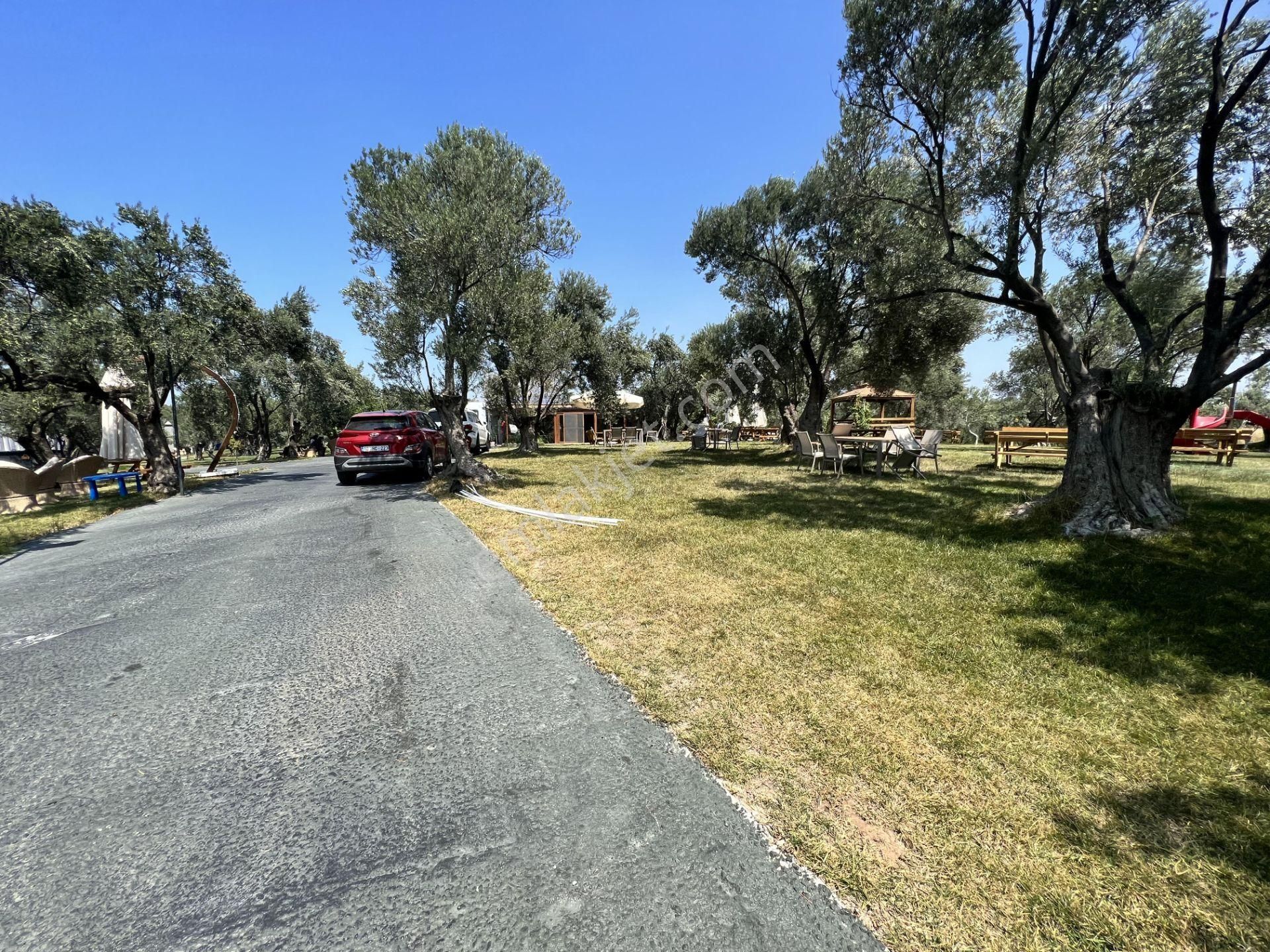 Türkiye Balıkesir Ayvalık Ta Satılık 10,275 Metre Karedir Arsa. - Görsel 5