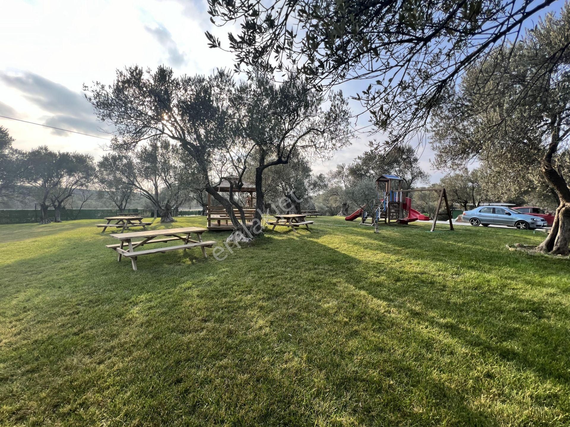 Türkiye Balıkesir Ayvalık Ta Satılık 10,275 Metre Karedir Arsa. - Görsel 25